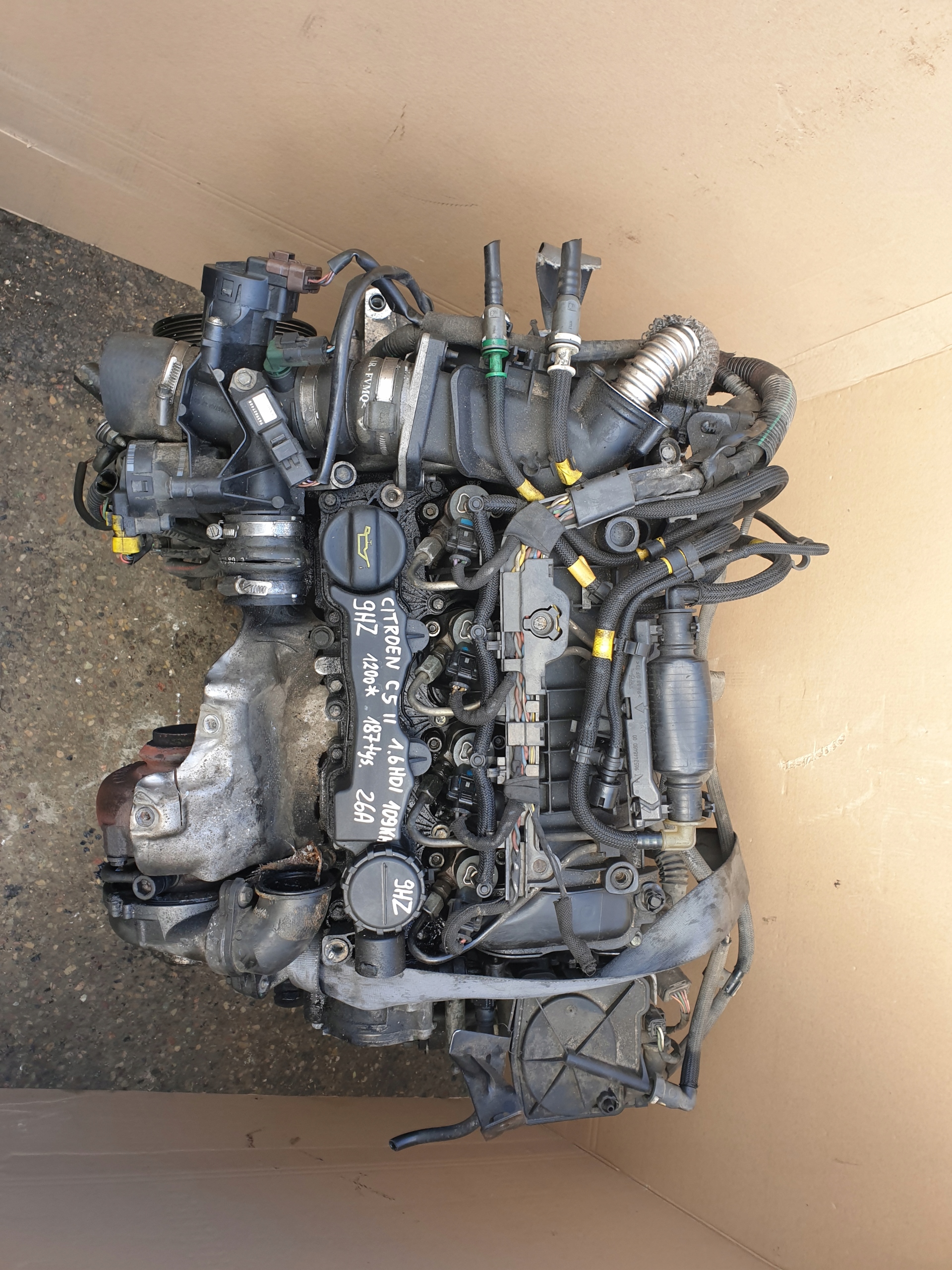 Moteur 9HV (DV6TED4) - Image 2