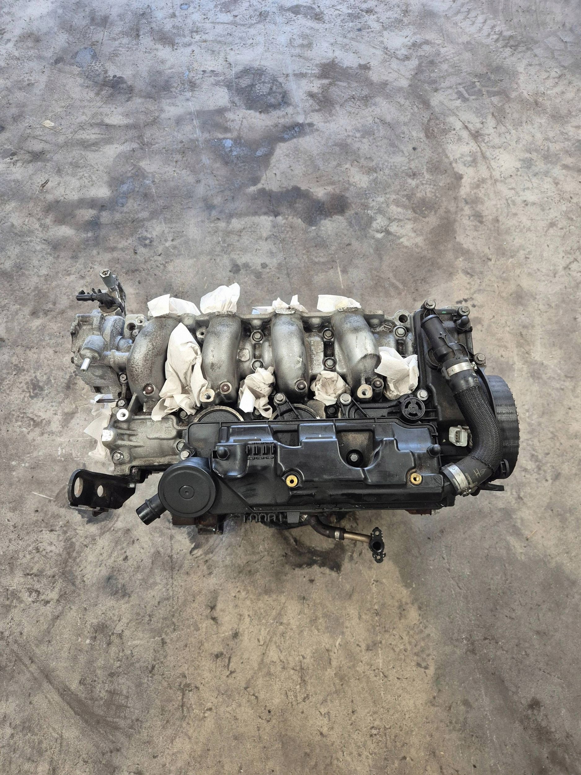 Moteur 224DT(DW12BTED4) - Image 1
