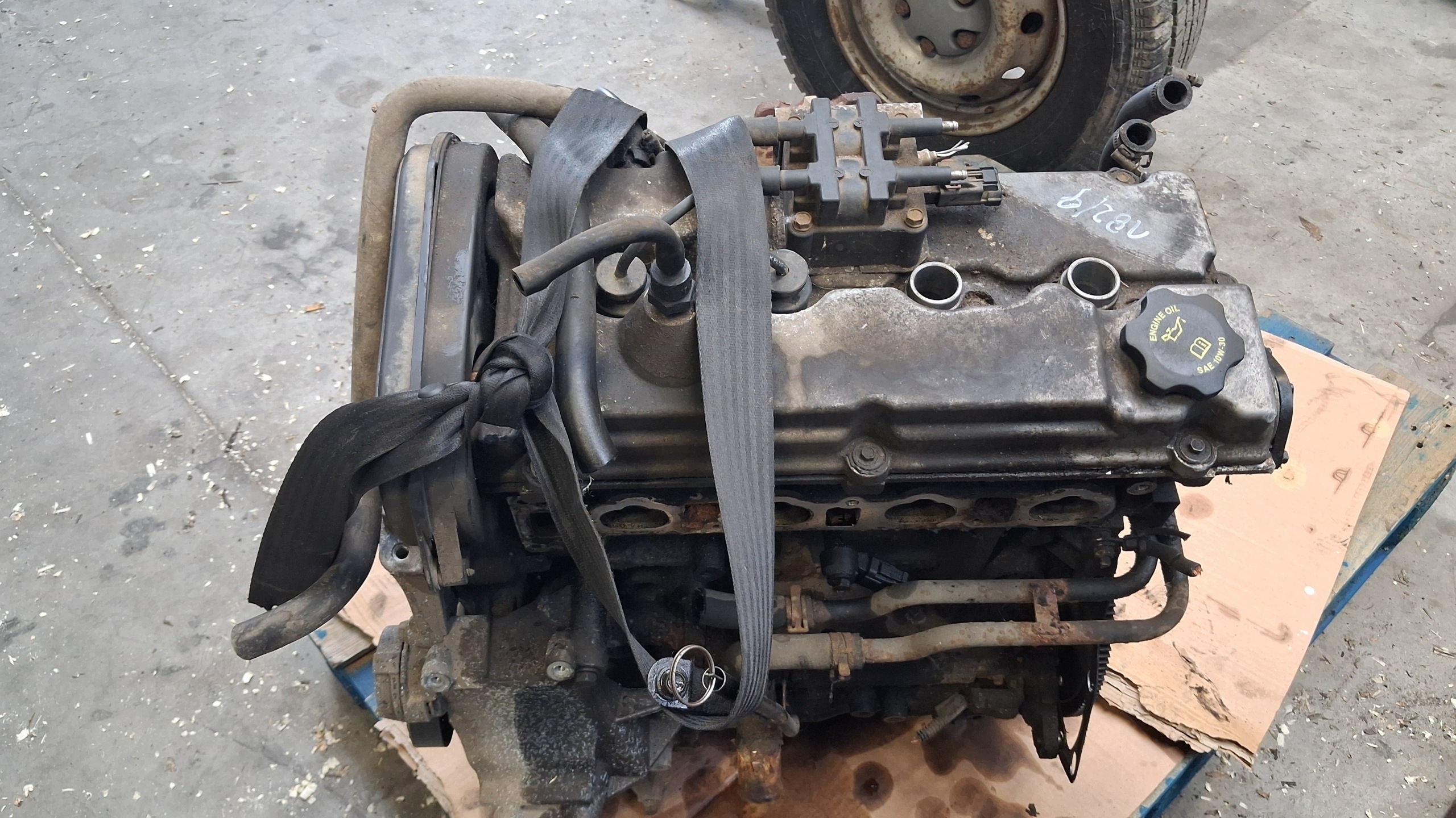 Moteur EDZ - Image 1