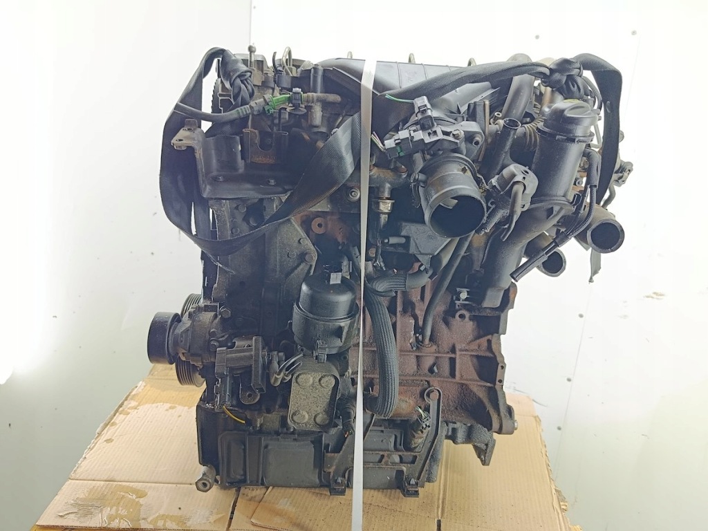Moteur RHF (DW10BTED4) — vue 1