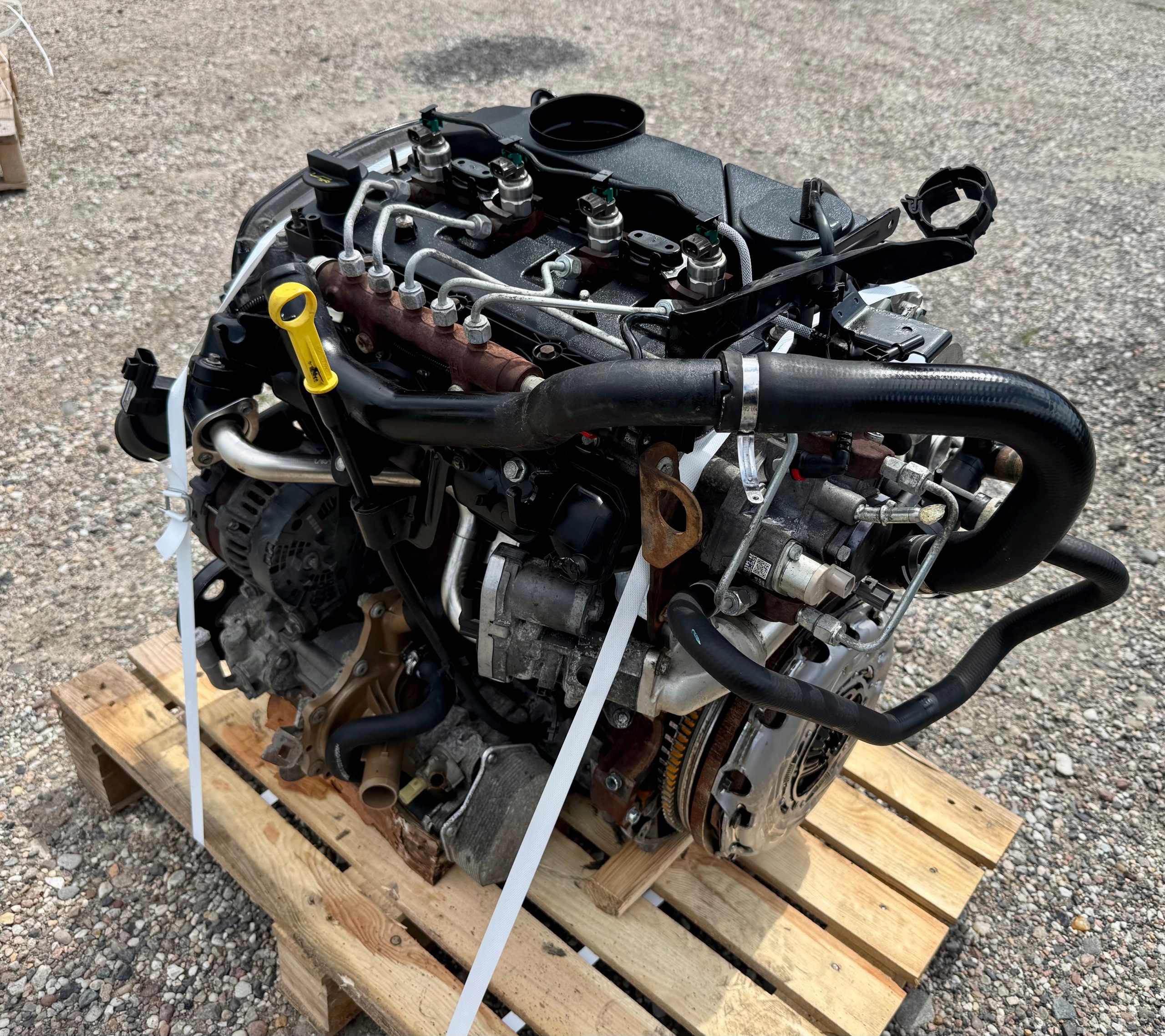 Moteur 4HV (P22DTE) - Image 3
