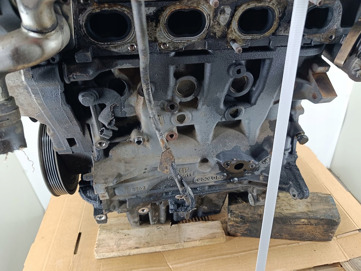 Moteur Z 19 DTH — vue 11