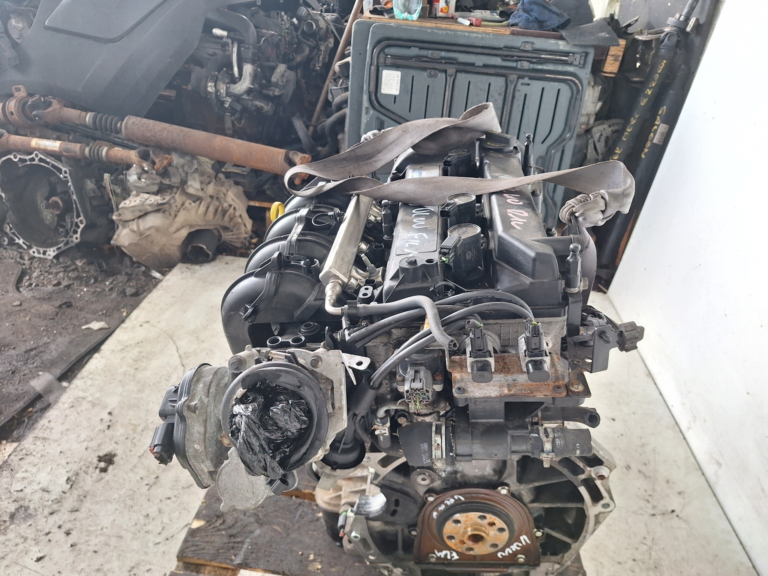 Moteur B 4204 S3 - Image 10