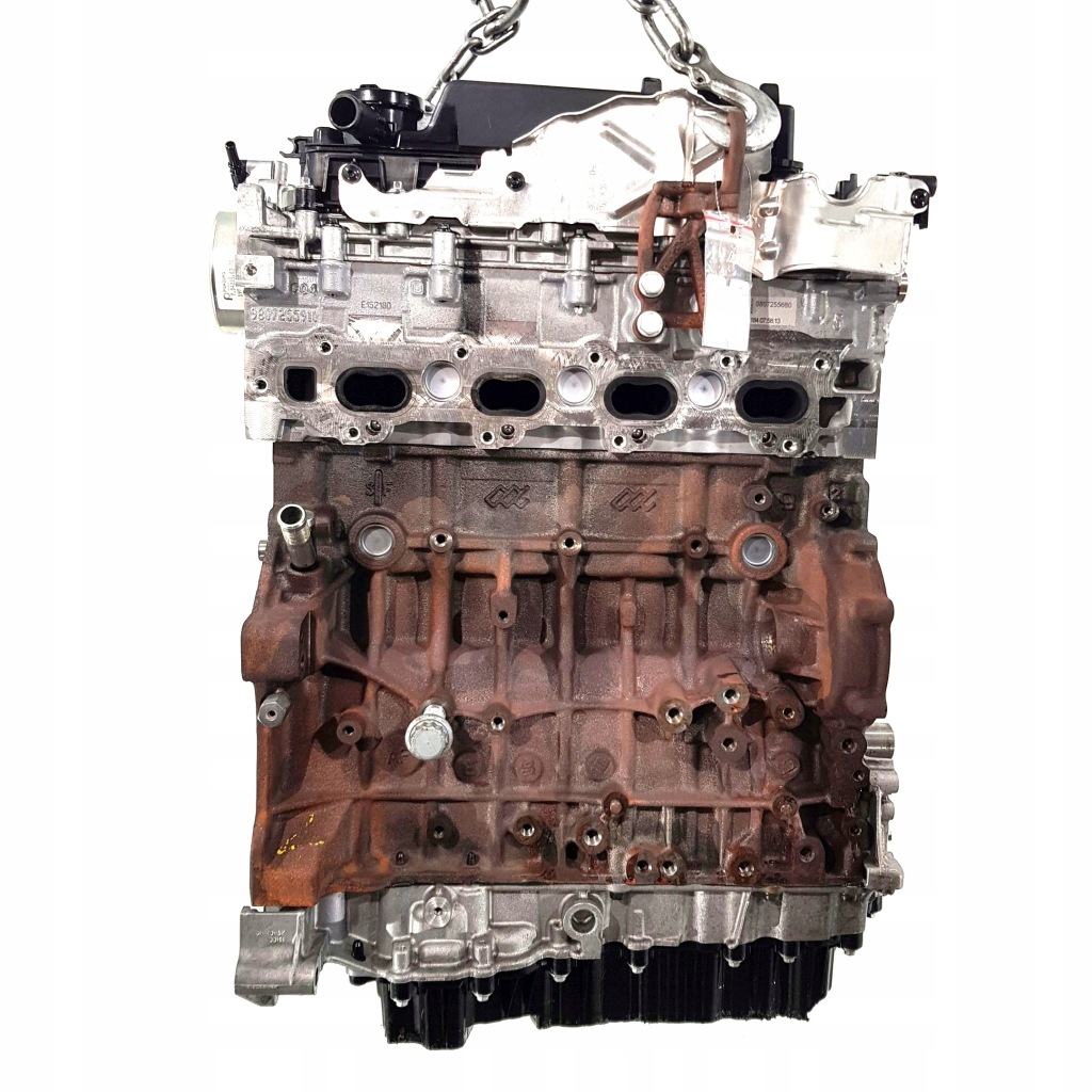 Moteur AHH (DW10FC) - Image 2