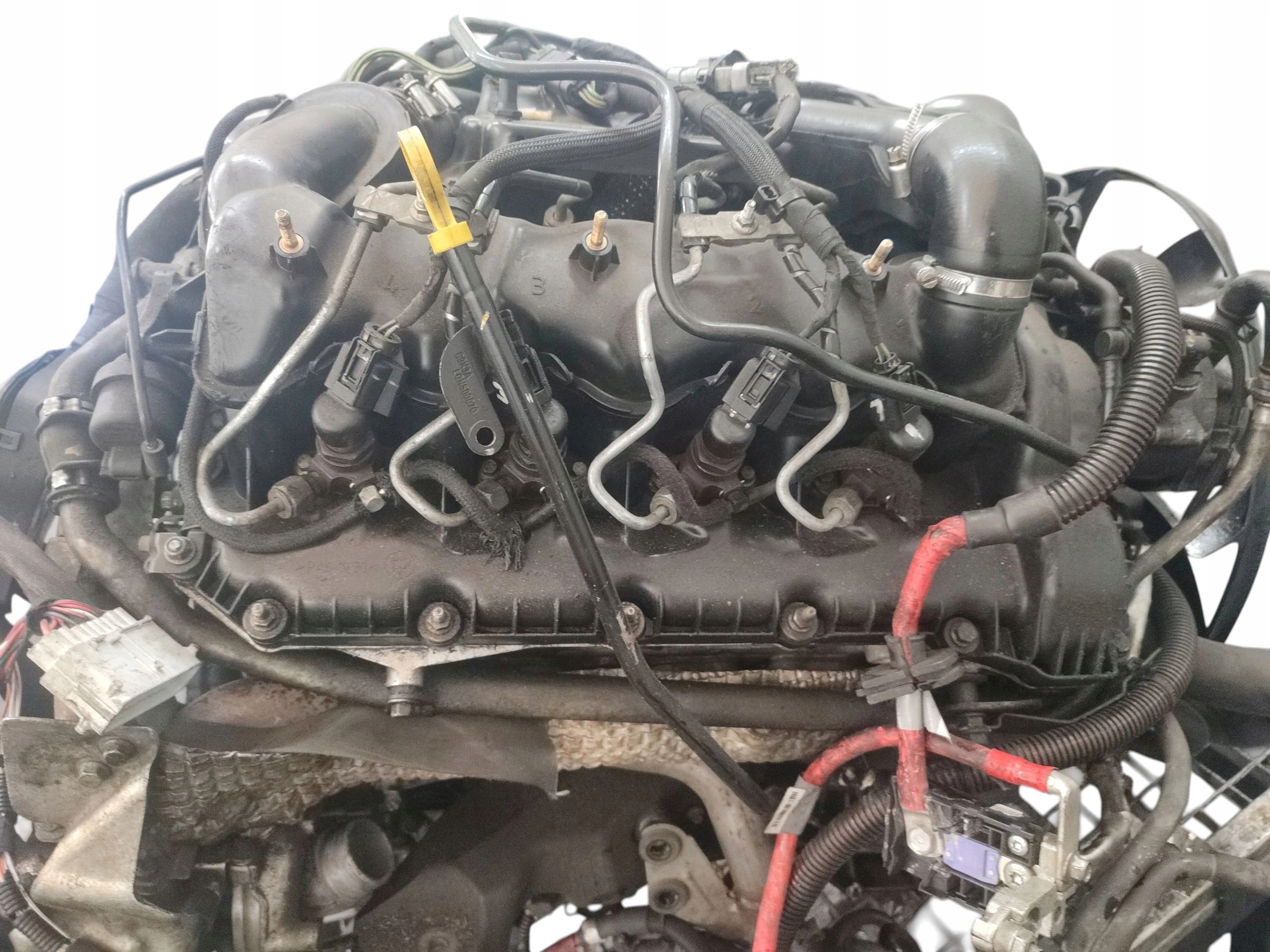 Moteur 368DT(LION) — vue 2
