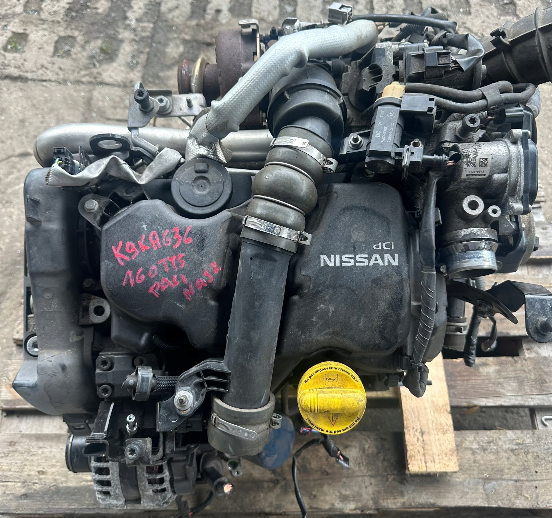Moteur K9K - Image 2