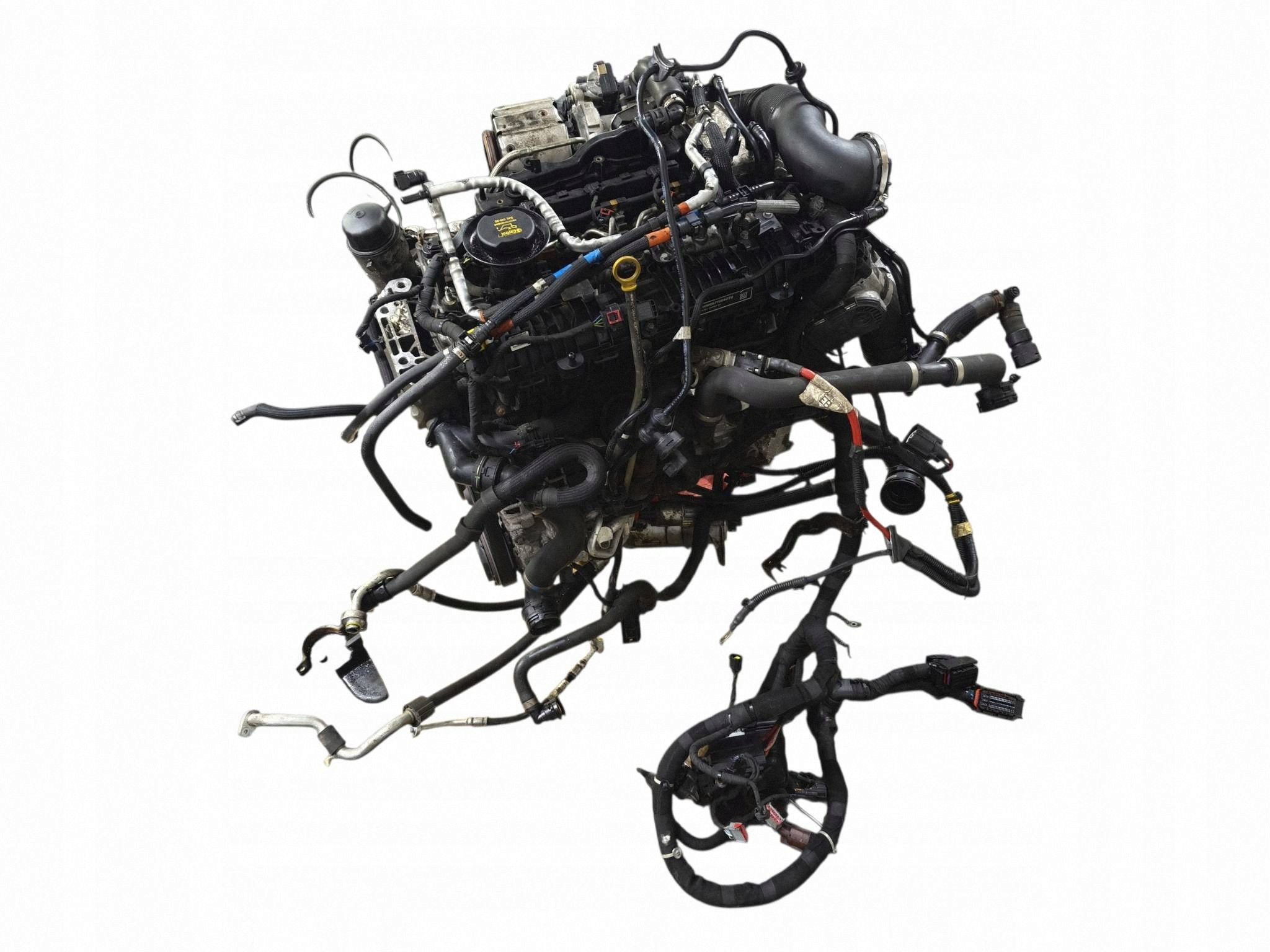 Moteur 204DTD(AJ20D4) - Image 8