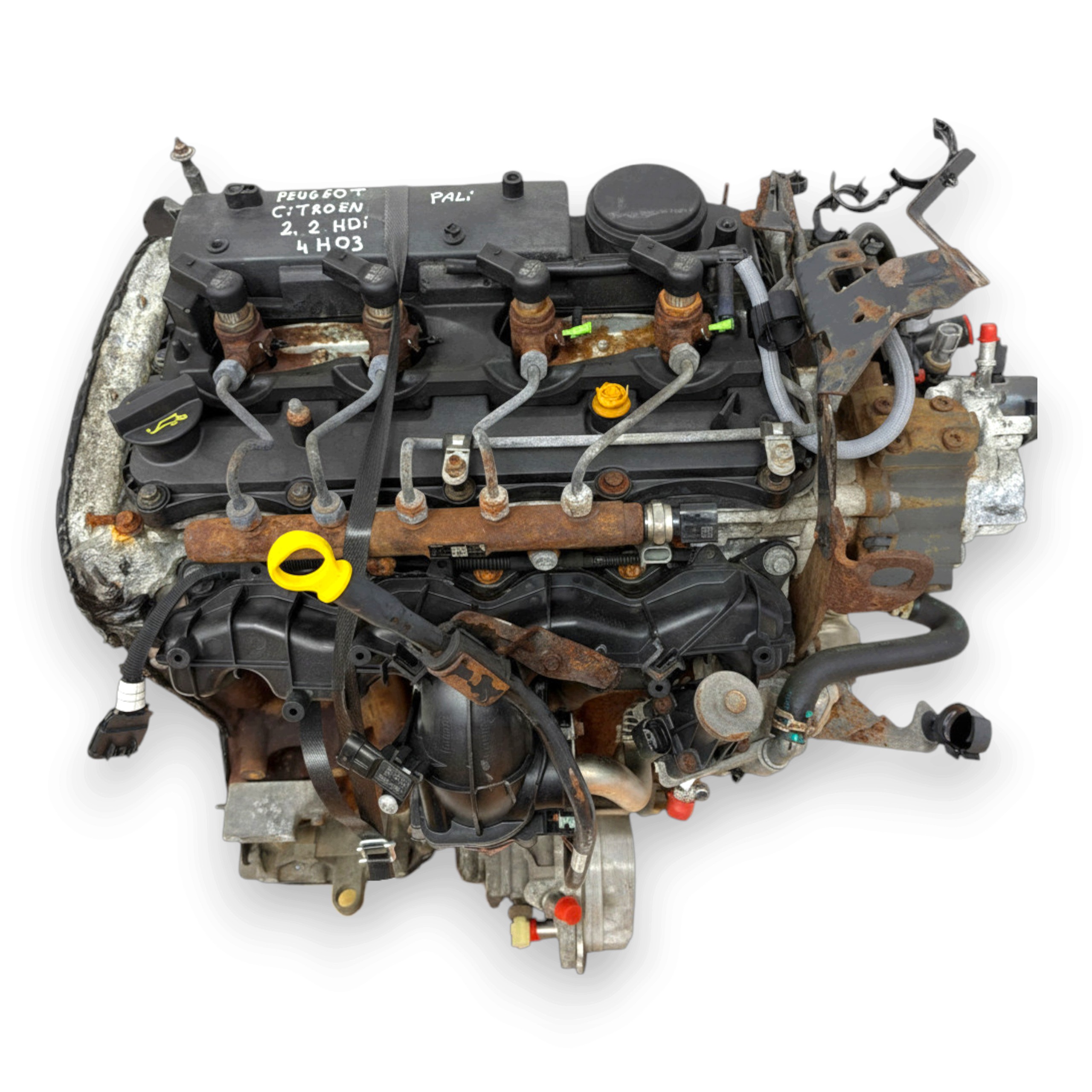 Moteur 4HH (DW12RUC) - Image 3