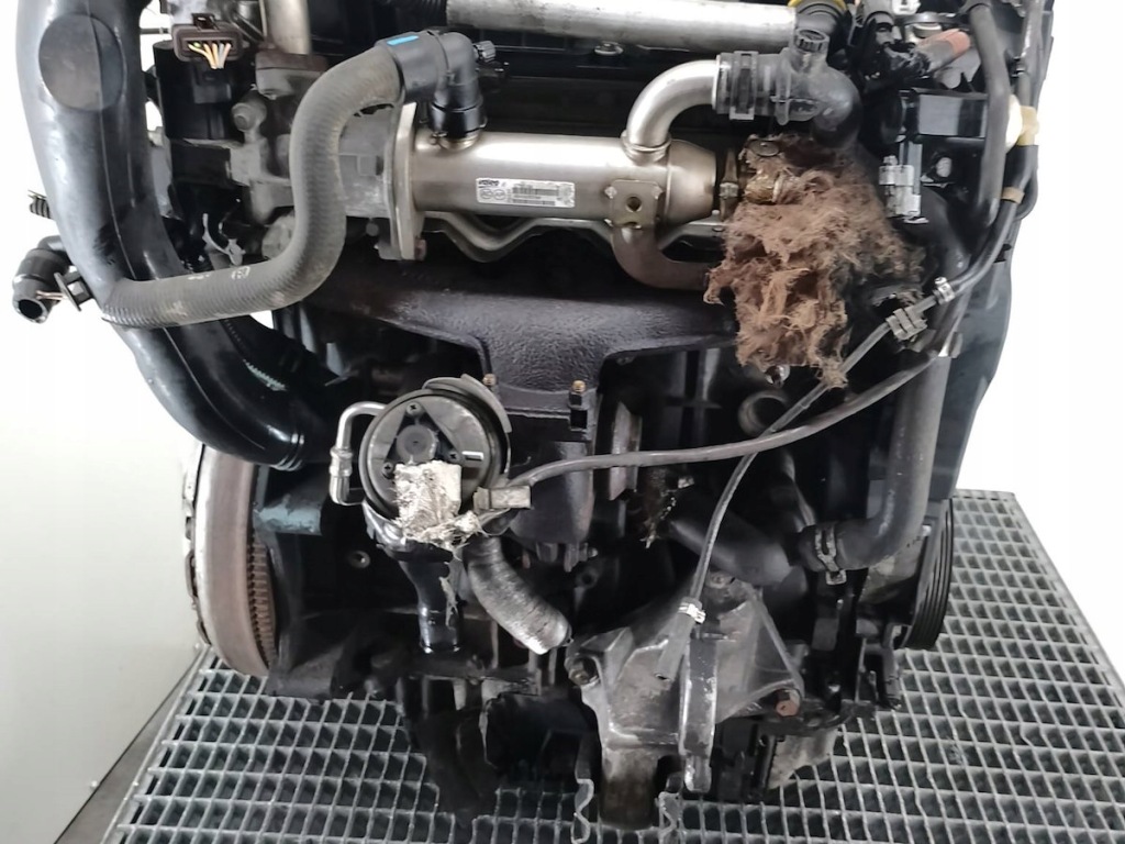 Moteur RHF (DW10BTED4) — vue 1