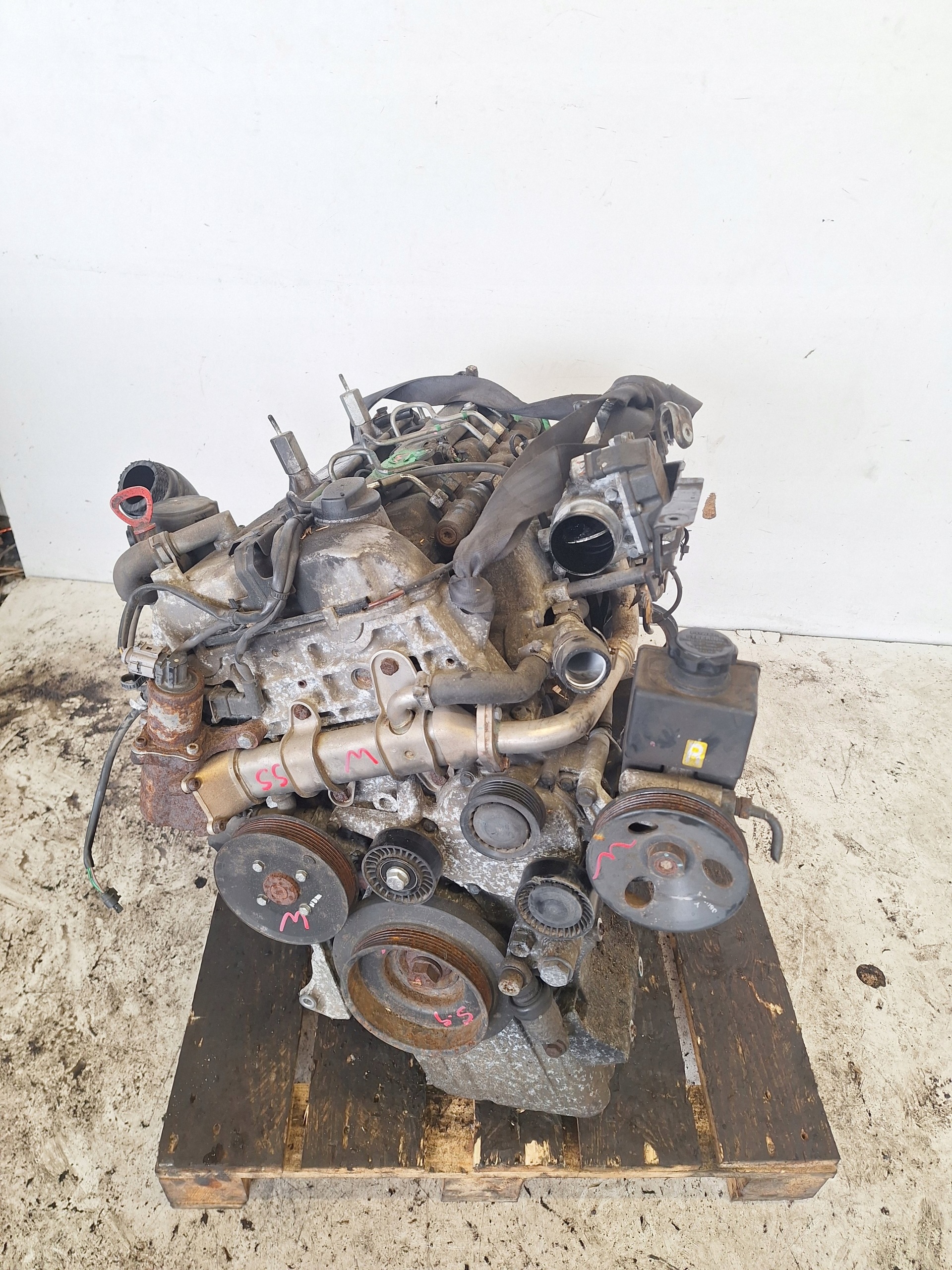 Moteur D27DTP - Image 2