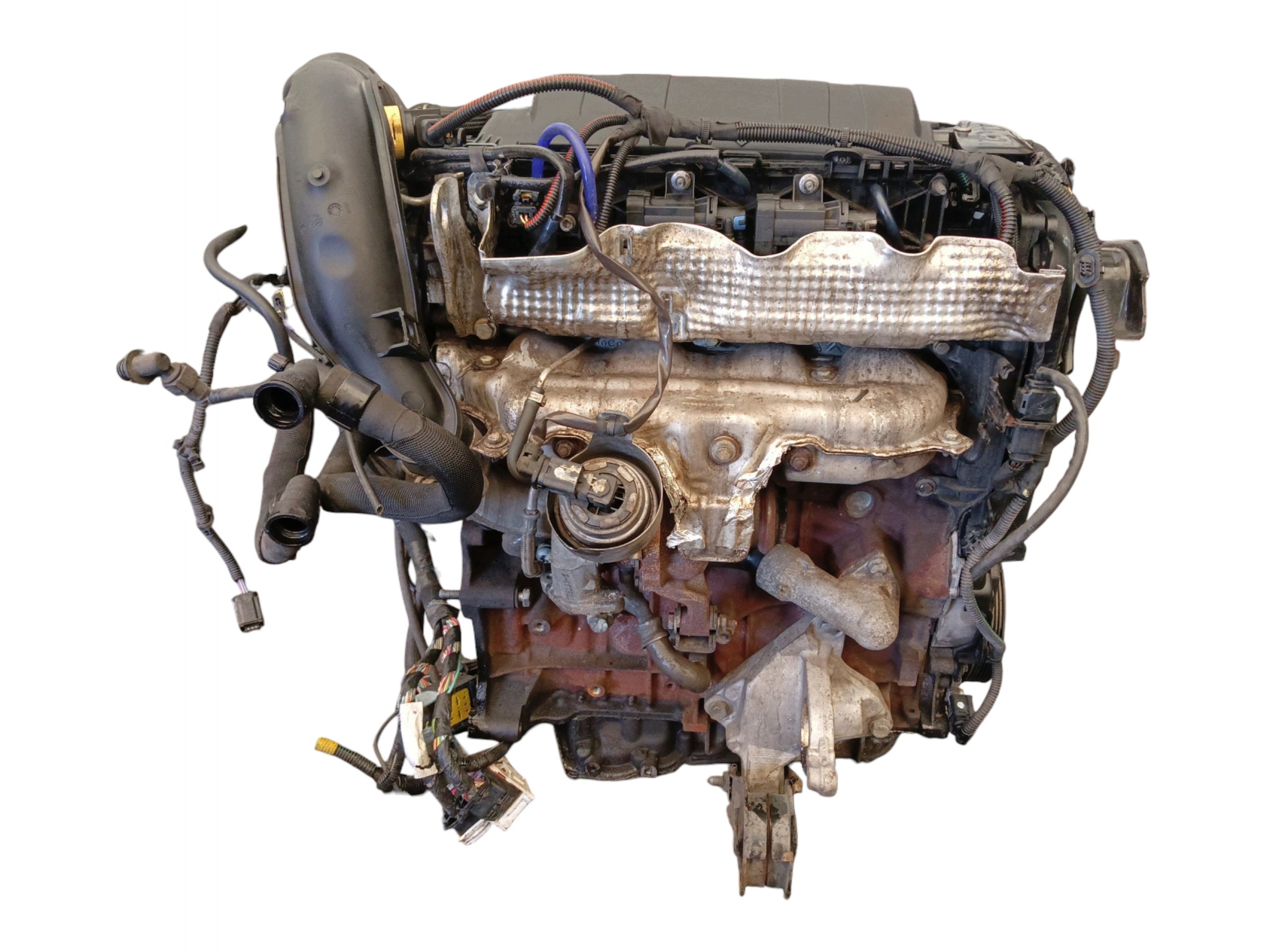 Moteur RHE (DW10CTED4) - Image 2
