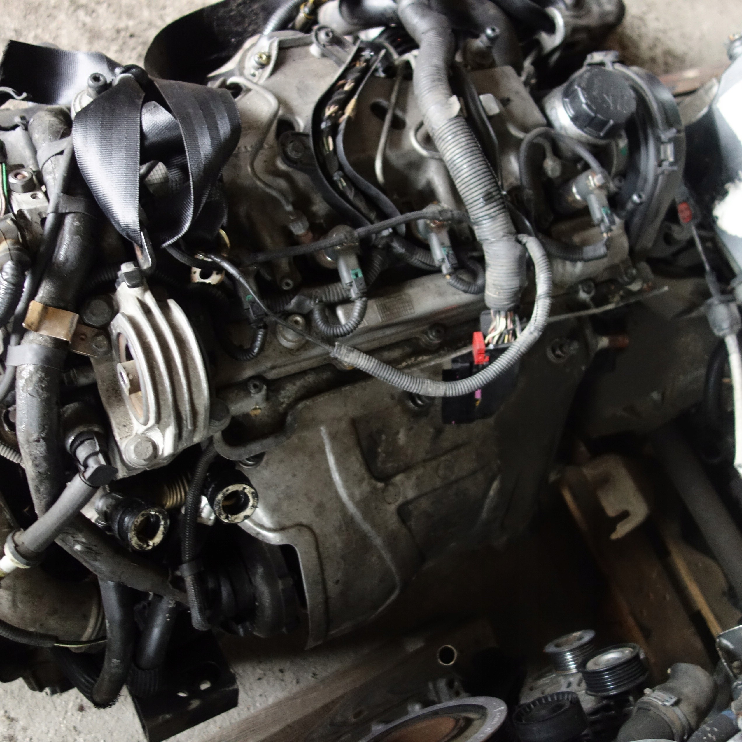 Moteur D 5244 T - Image 4