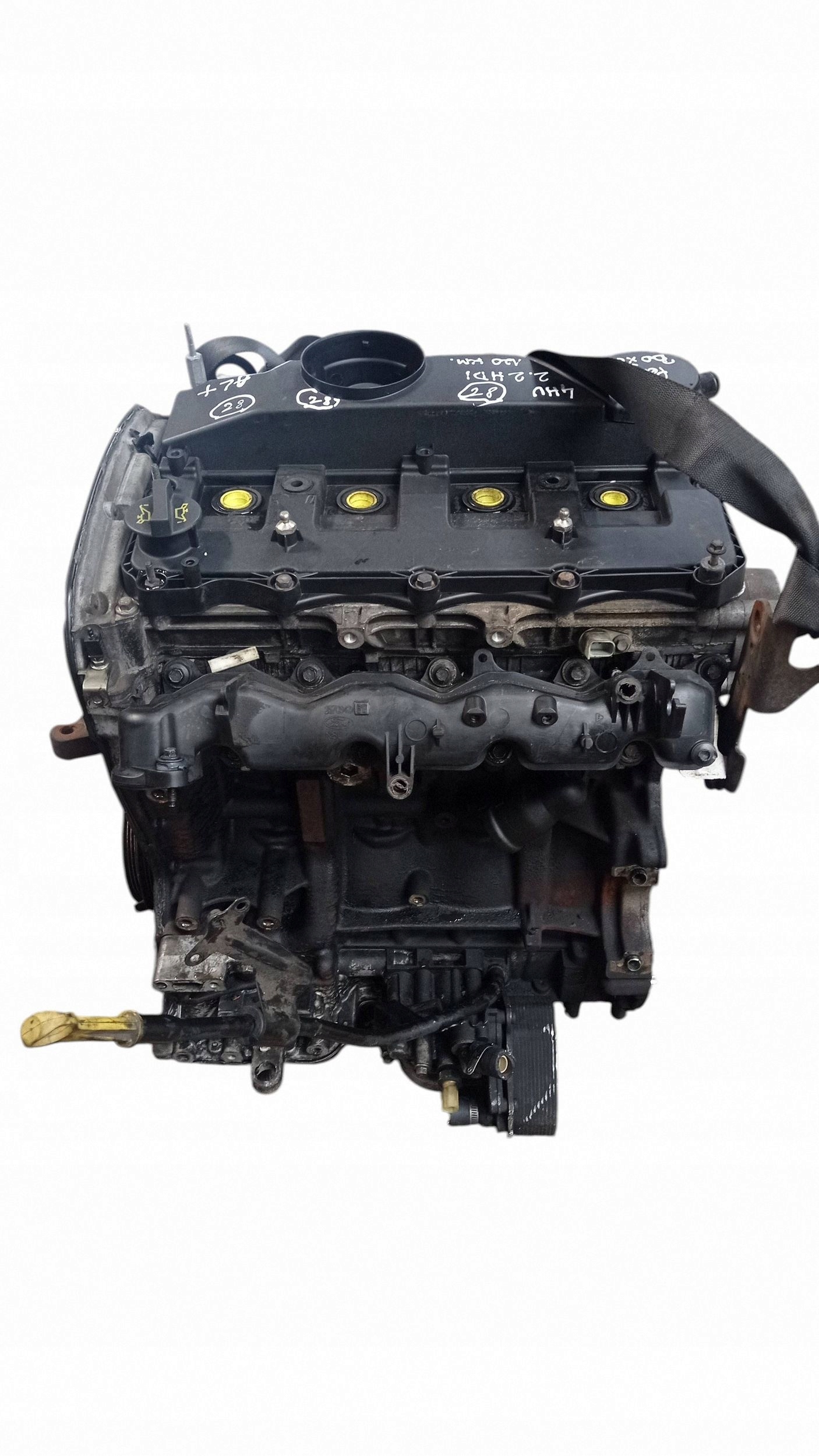Moteur 4HU (P22DTE) - Image 3
