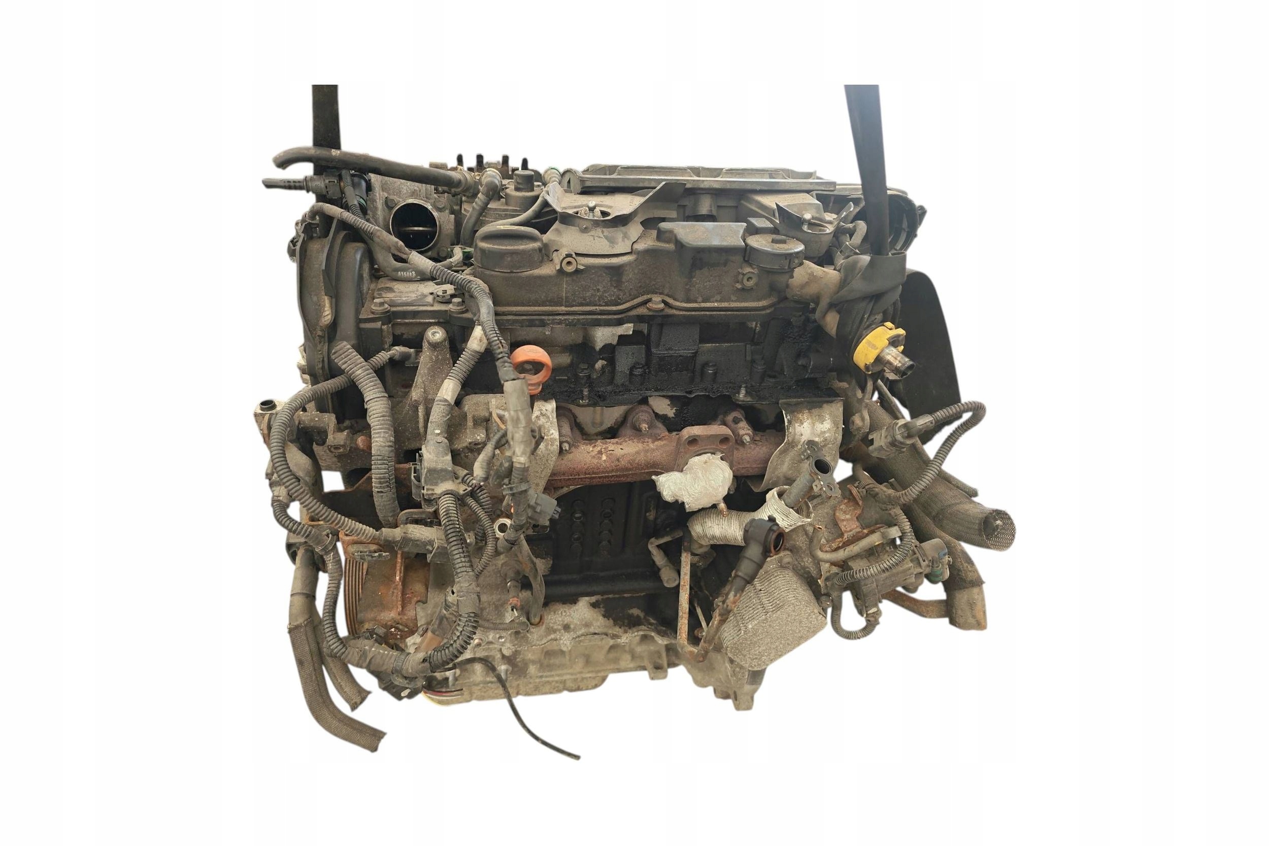 Moteur 9HK (DV6ETEDM) - Image 4
