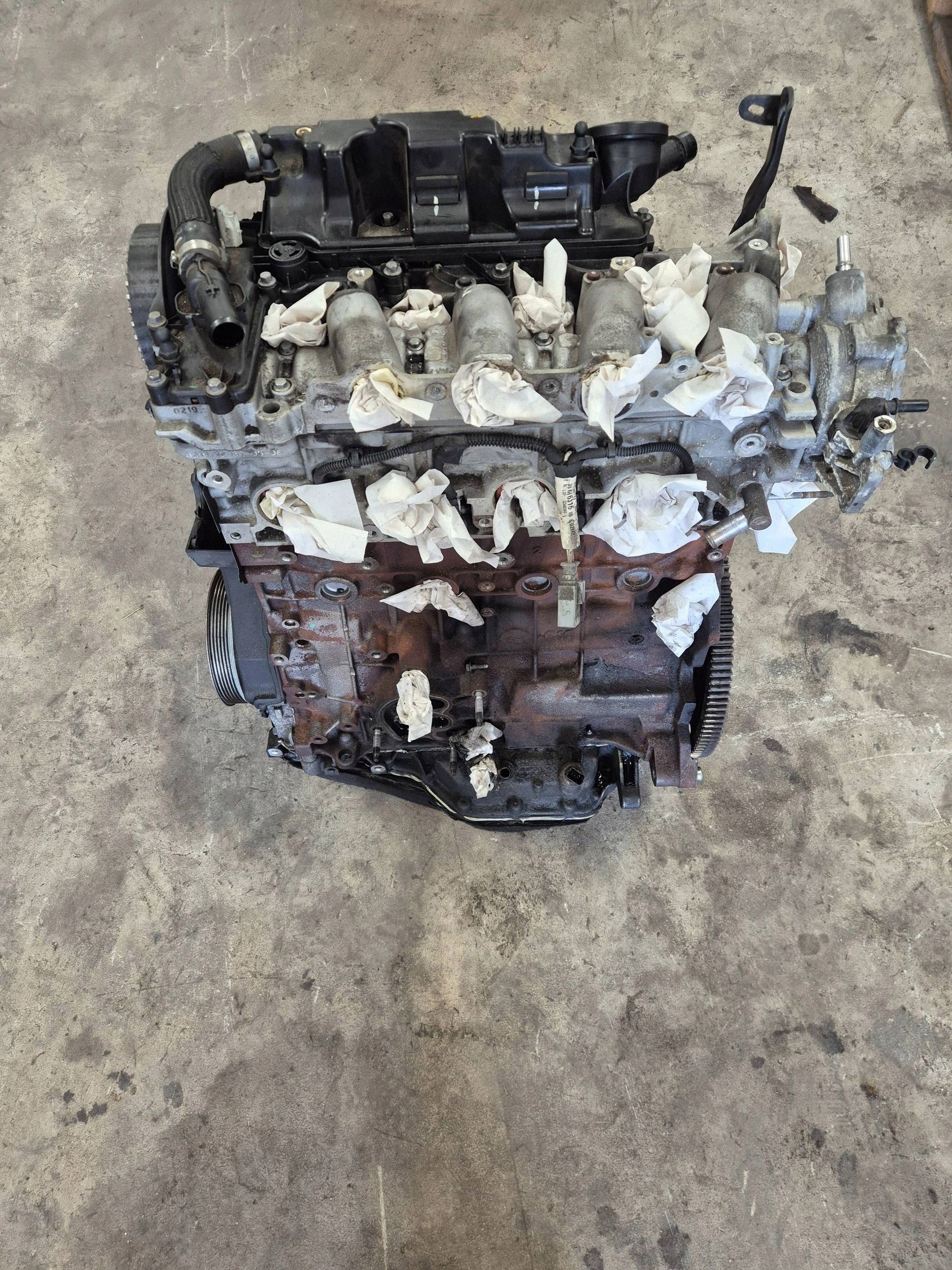 Moteur 224DT(DW12BTED4) - Image 5