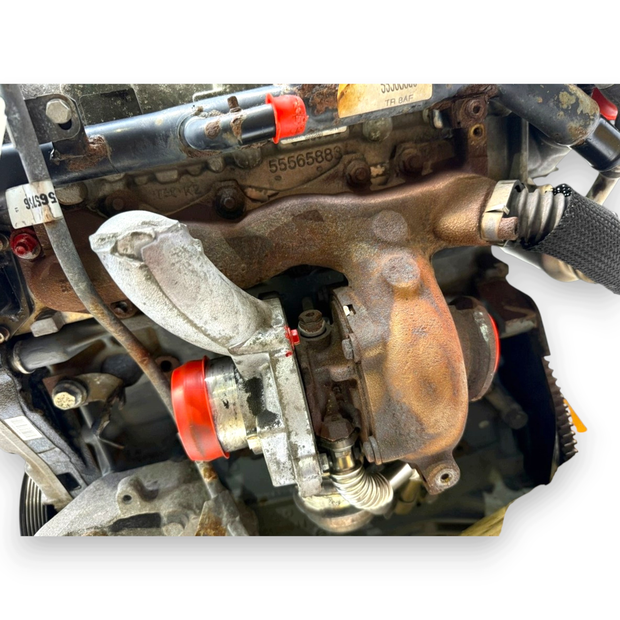 Moteur Z 19 DTH - Image 9