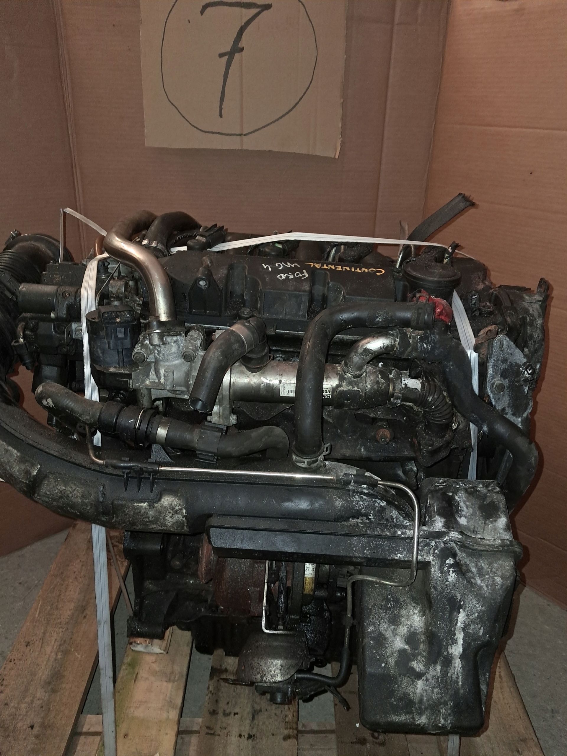 Moteur D 4204 T — vue 8