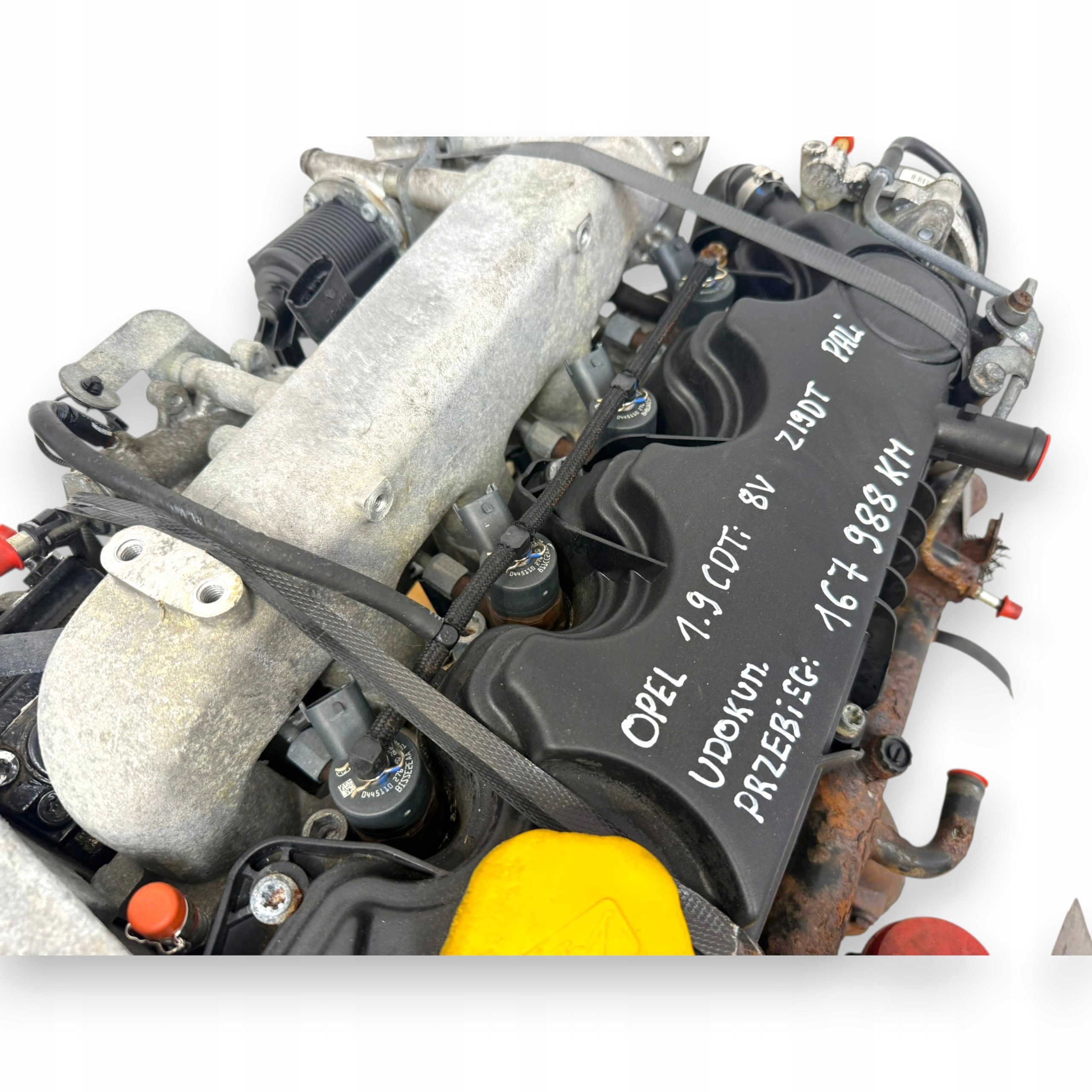 Moteur Z 19 DT — vue 9