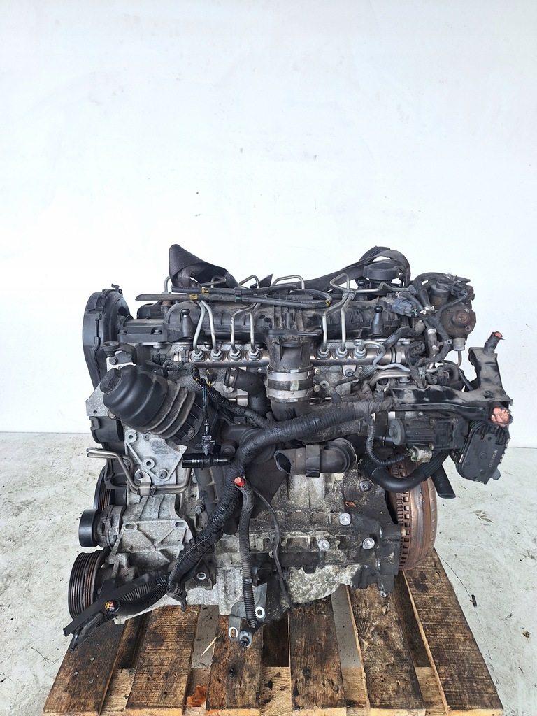 Moteur D 5244 T10 — vue 1