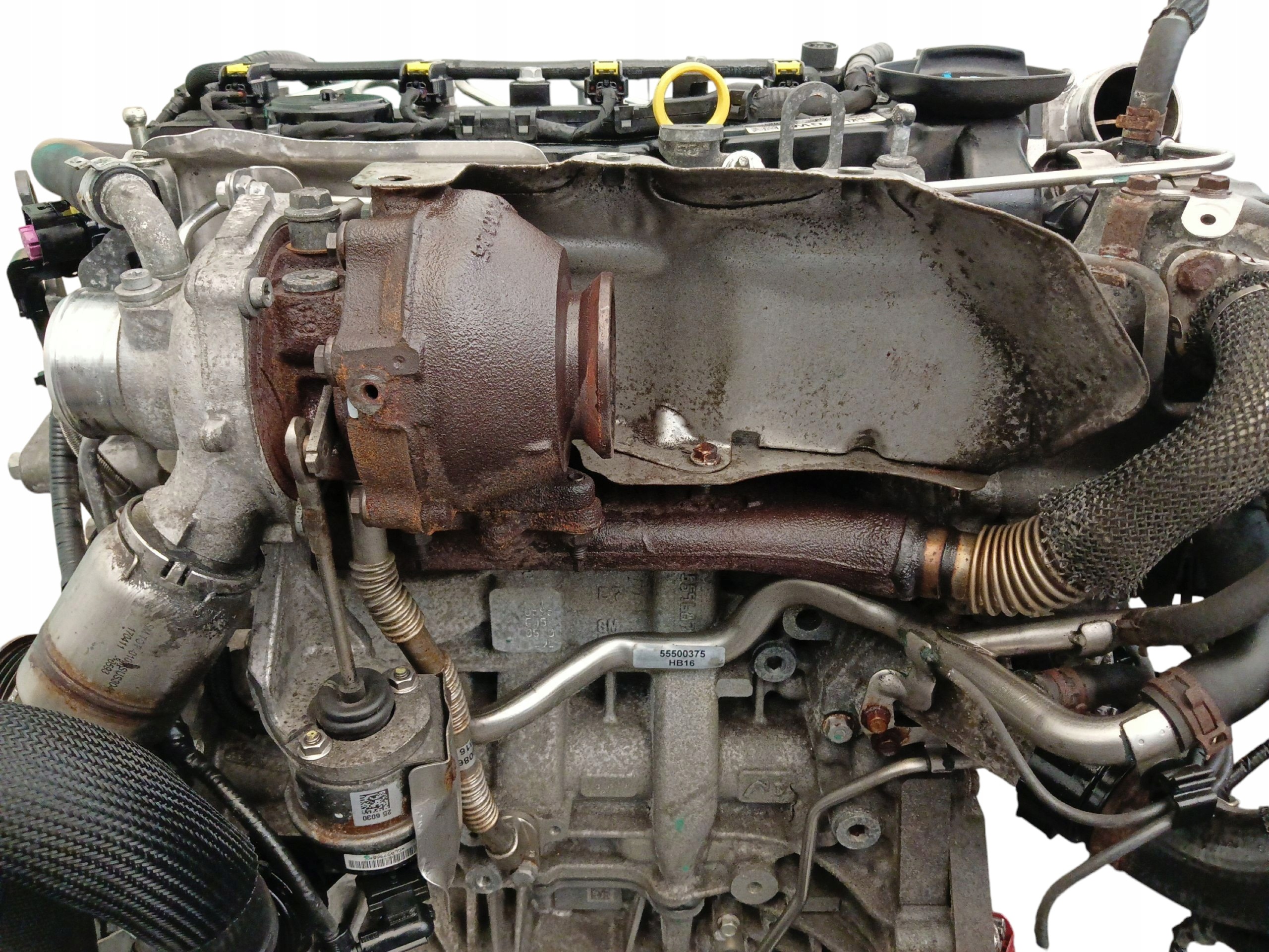 Moteur B 16 DTH - Image 4