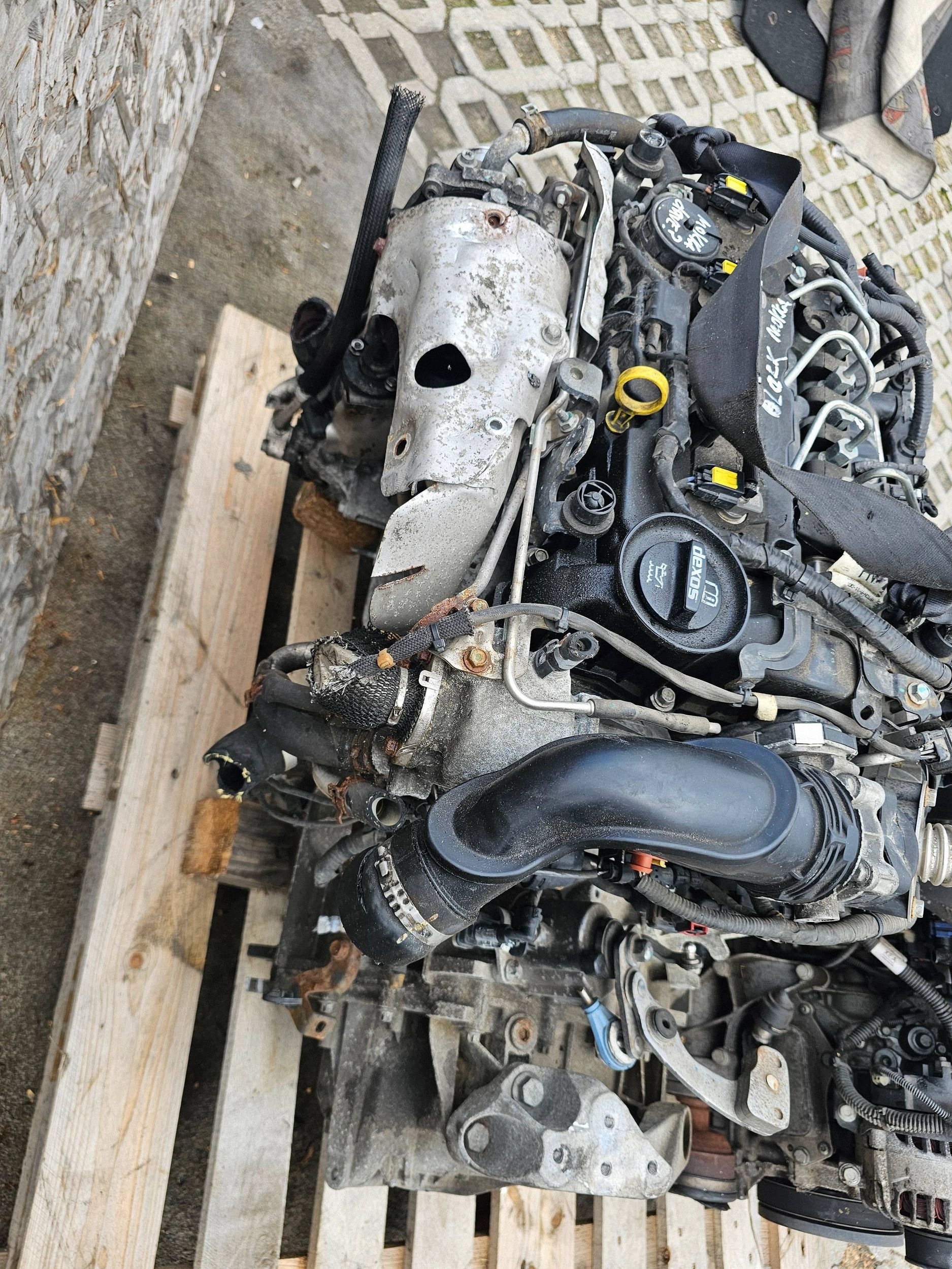 Moteur B 16 DTH - Image 3