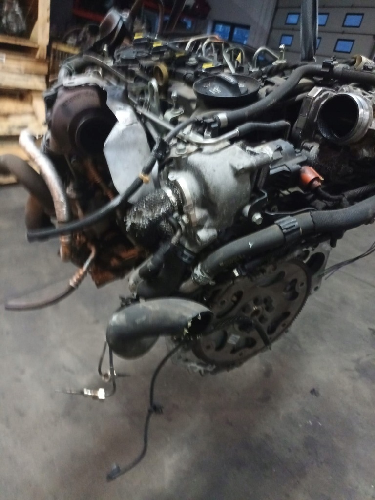 Moteur B 16 DTH - Image 2