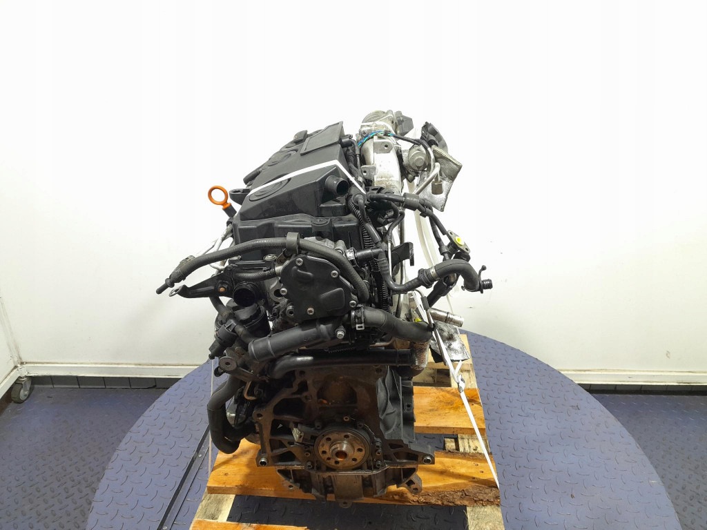 Moteur BLS - Image 4