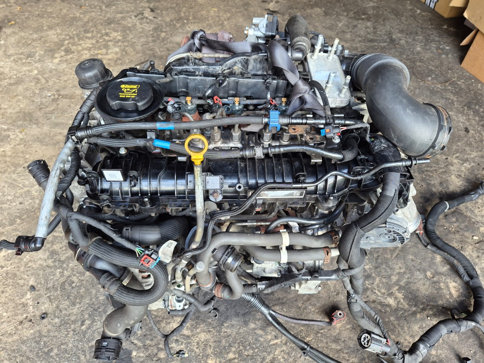 Moteur 204DTD(AJ20D4) - Image 5