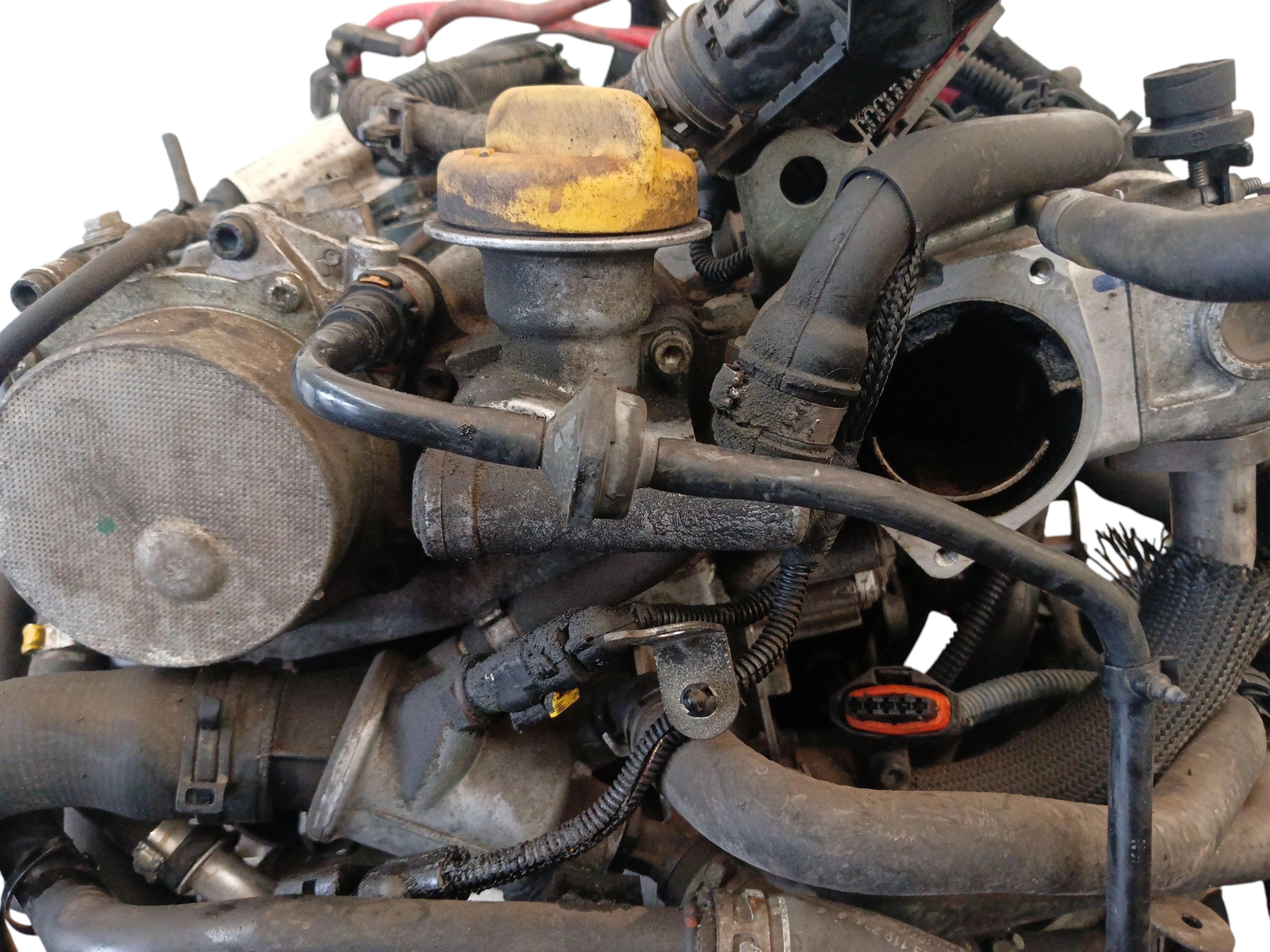 Moteur Z 19 DT — vue 12