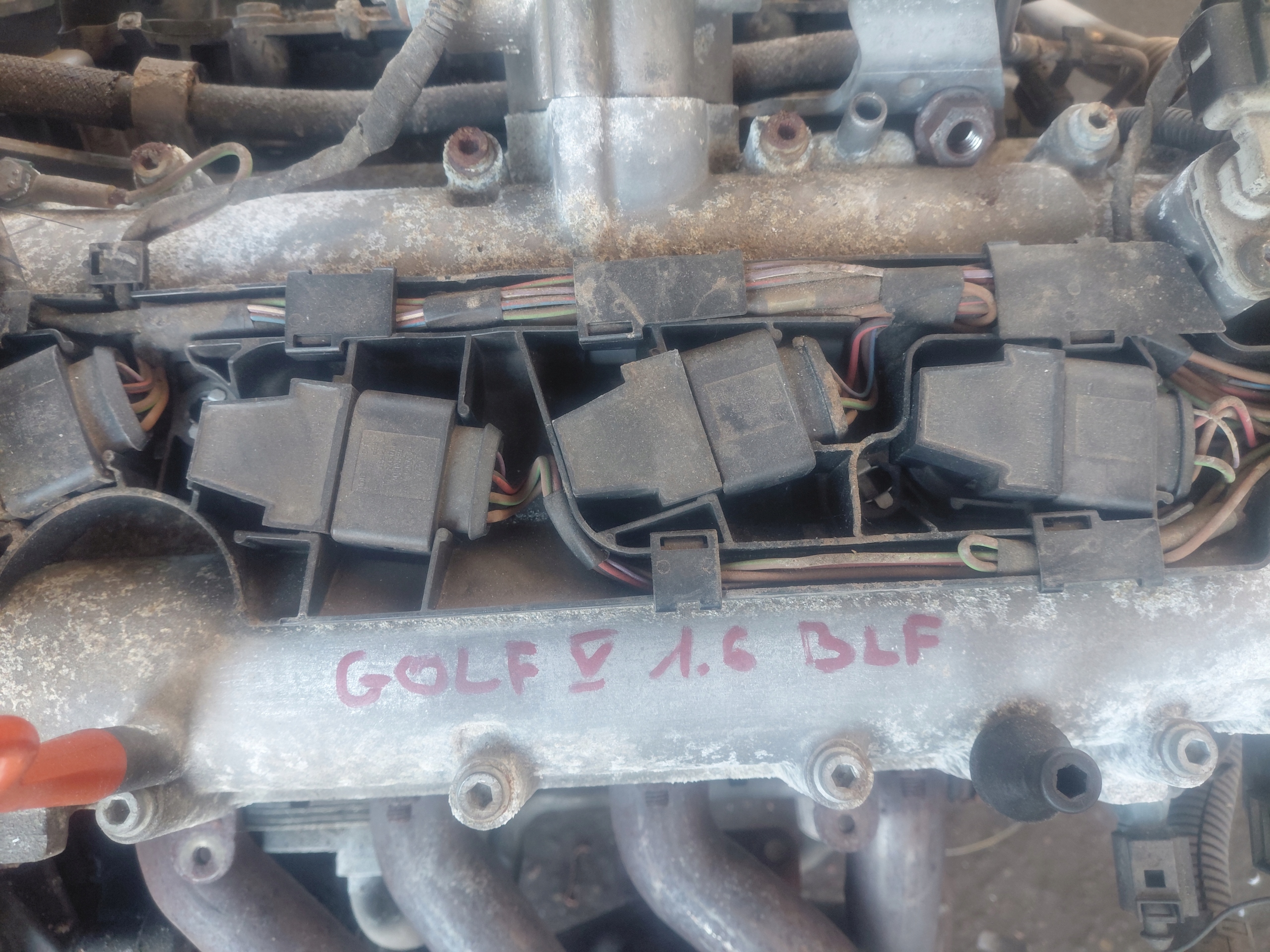 Moteur BLF - Image 7