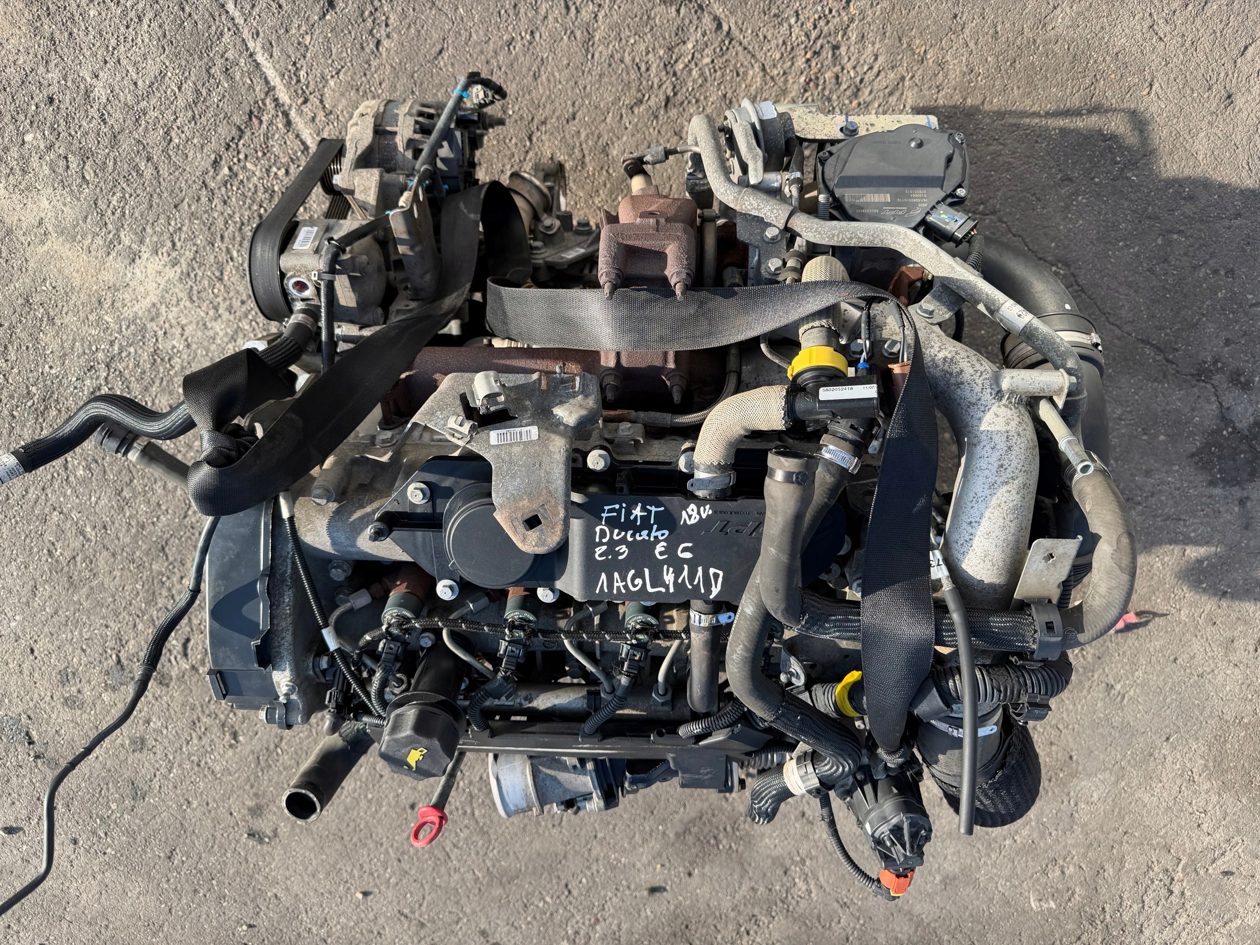 Moteur F1AGL411D - Image 2