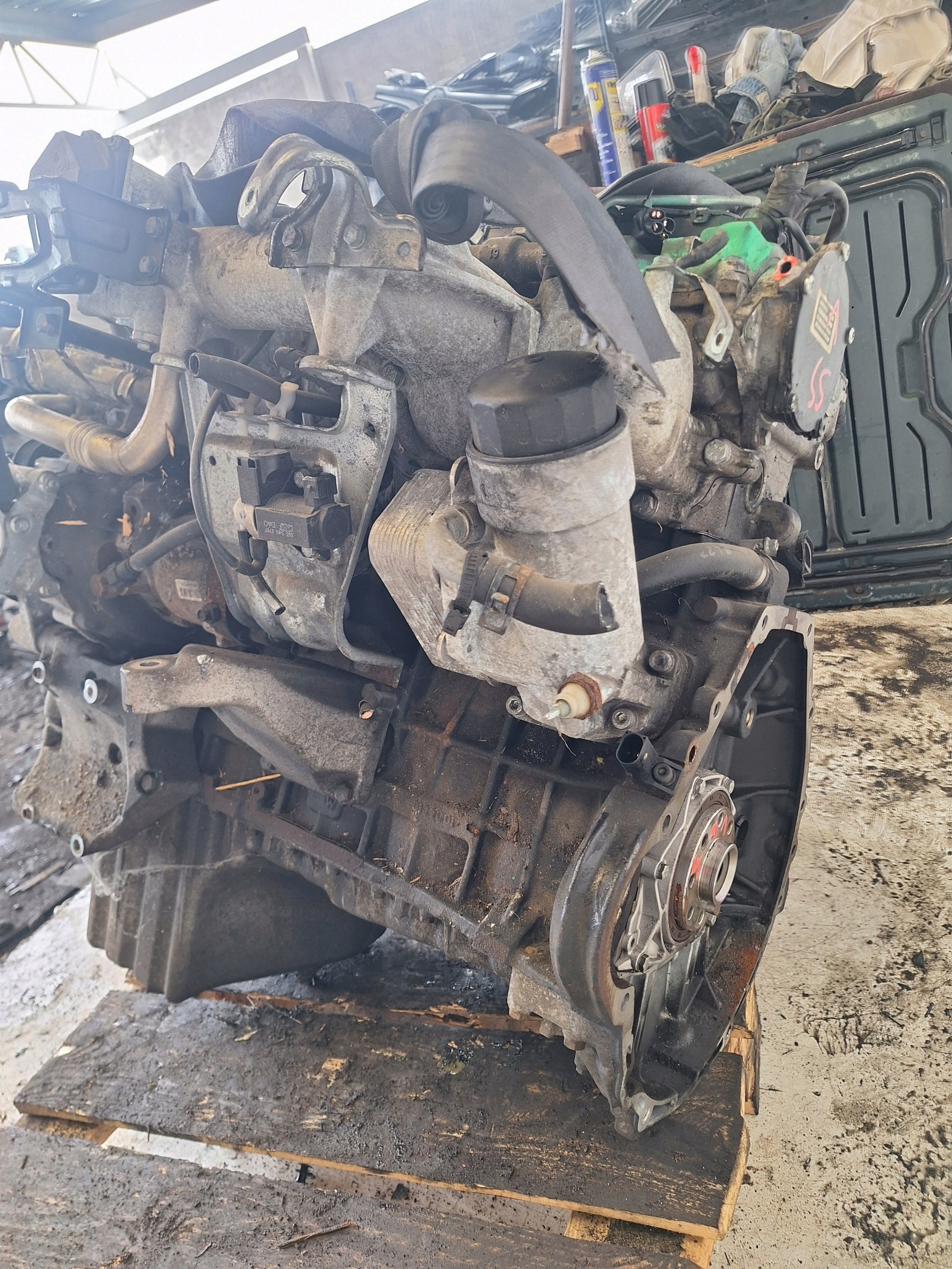 Moteur D27DTP - Image 6