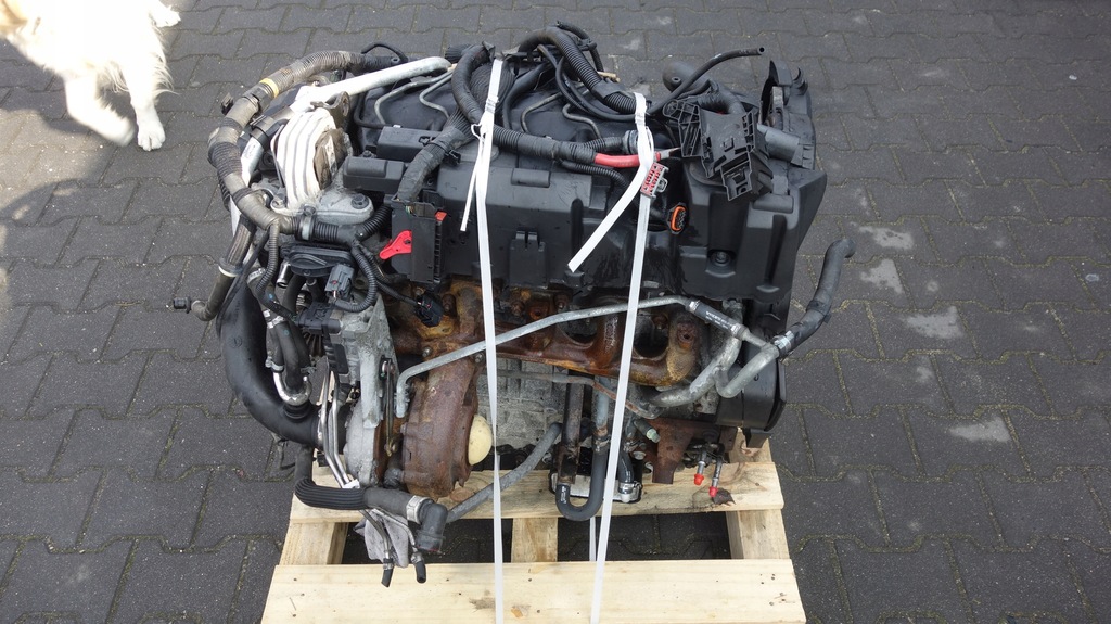 Moteur D 5244 T5 - Image 1