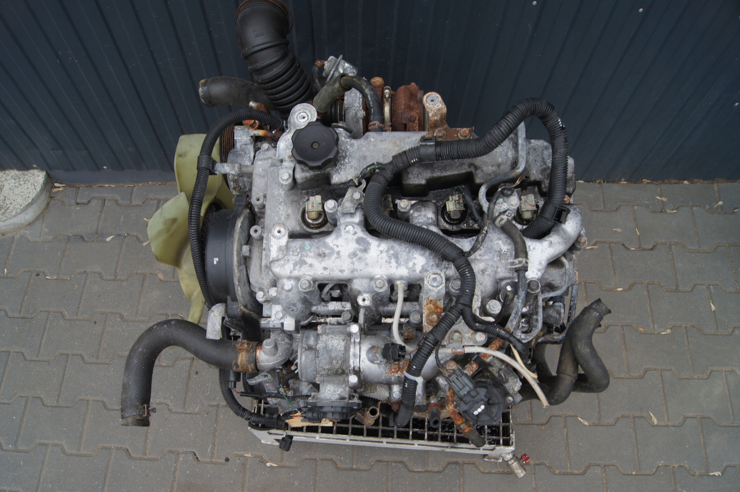 Moteur 4D56 (16V) — vue 6