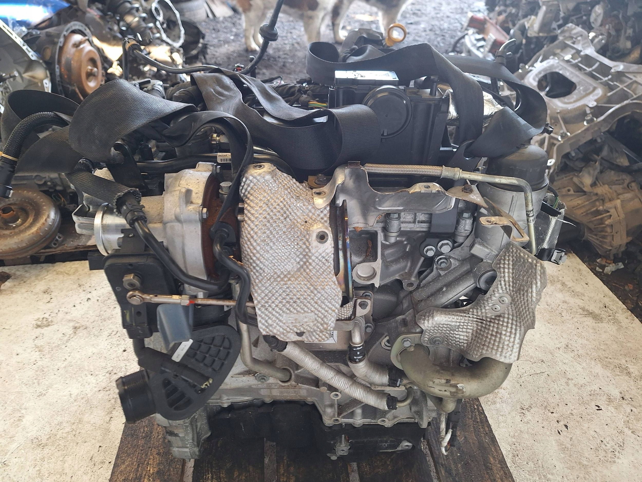 Moteur PT204(AJ20P4) - Image 4