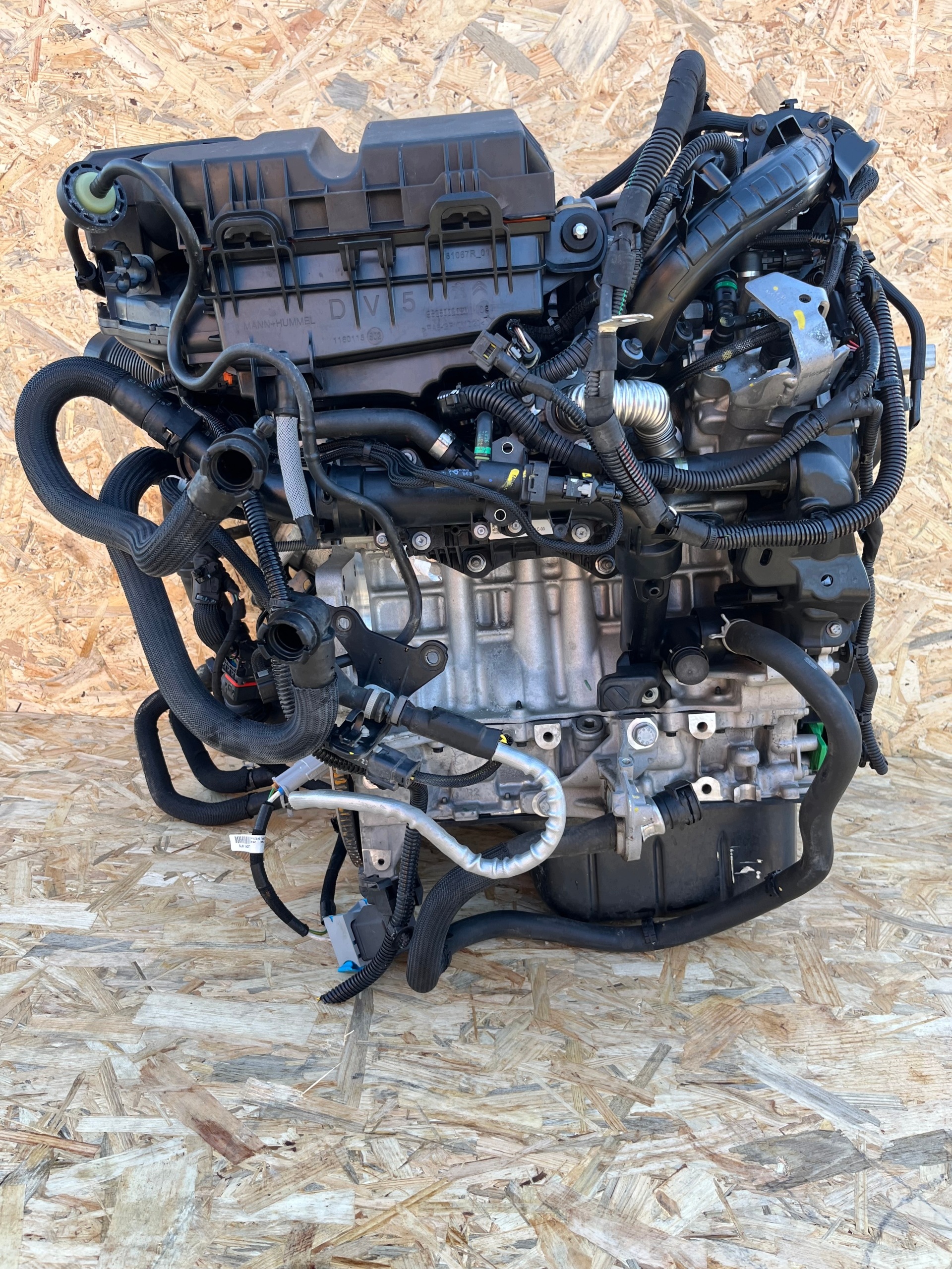 Moteur DV5RC - Image 2