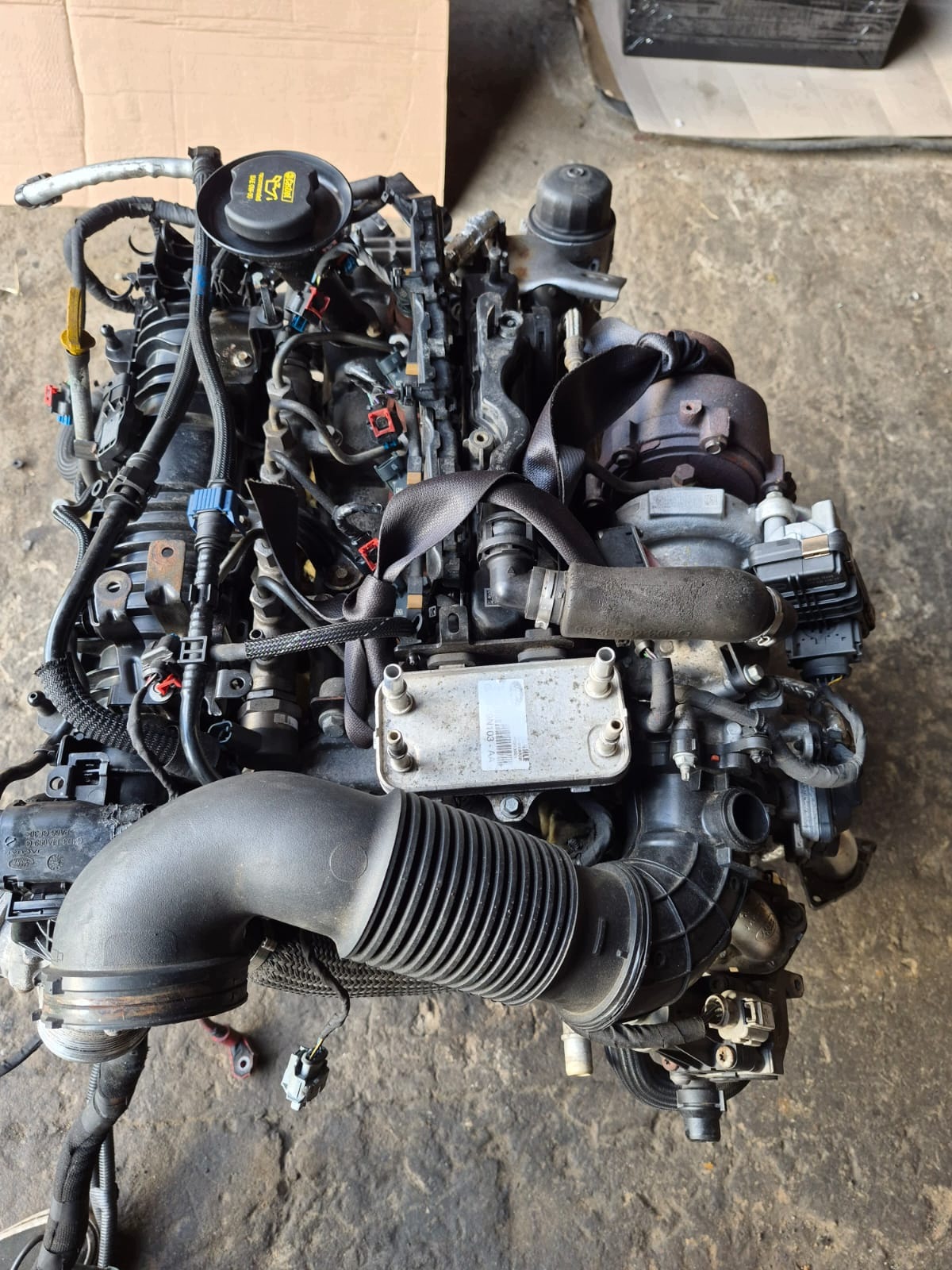 Moteur 204DTD(AJ20D4) - Image 2