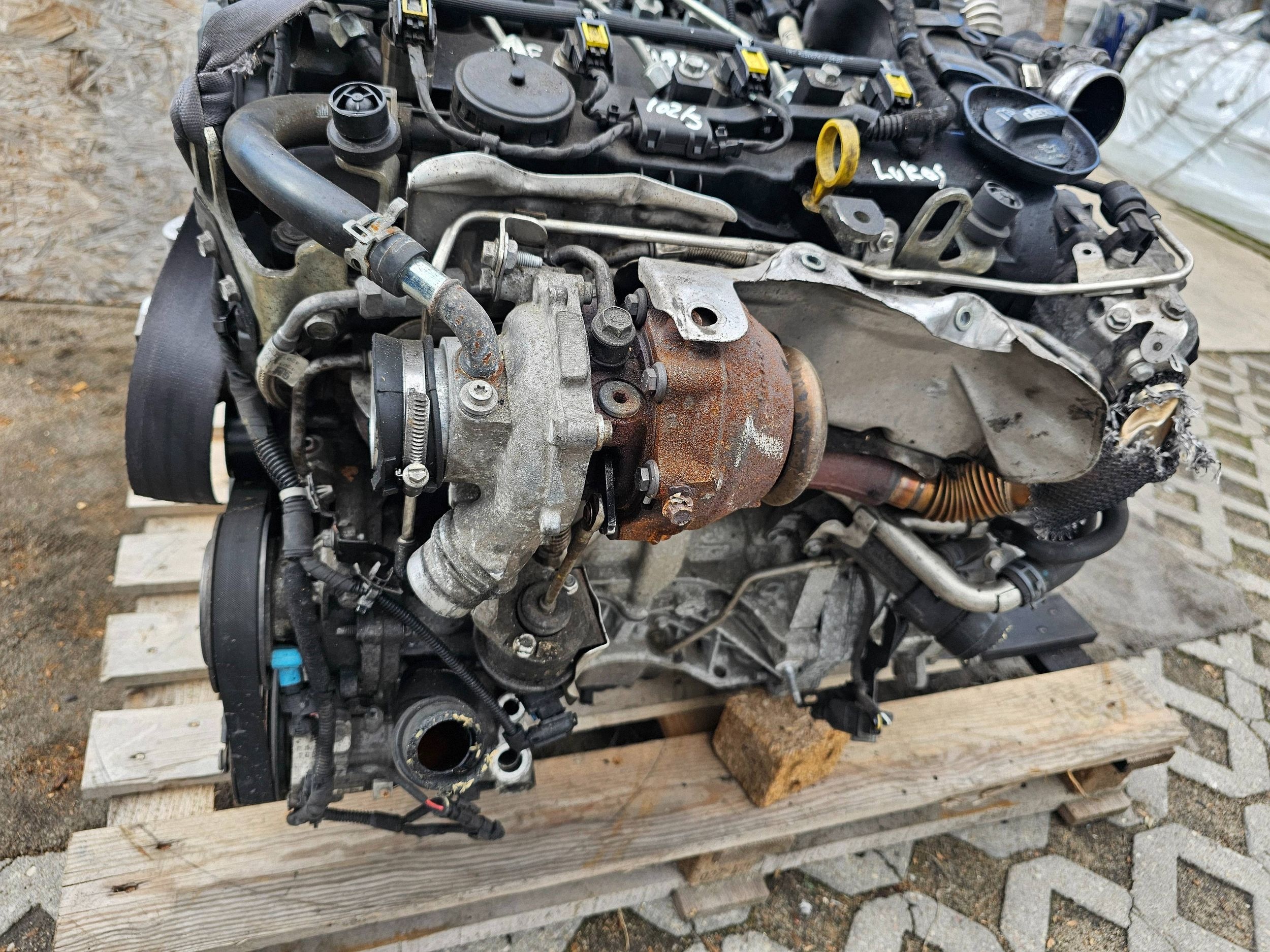 Moteur B 16 DTH - Image 4