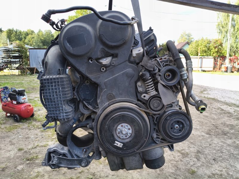 Moteur B 4204 T11 - Image 2