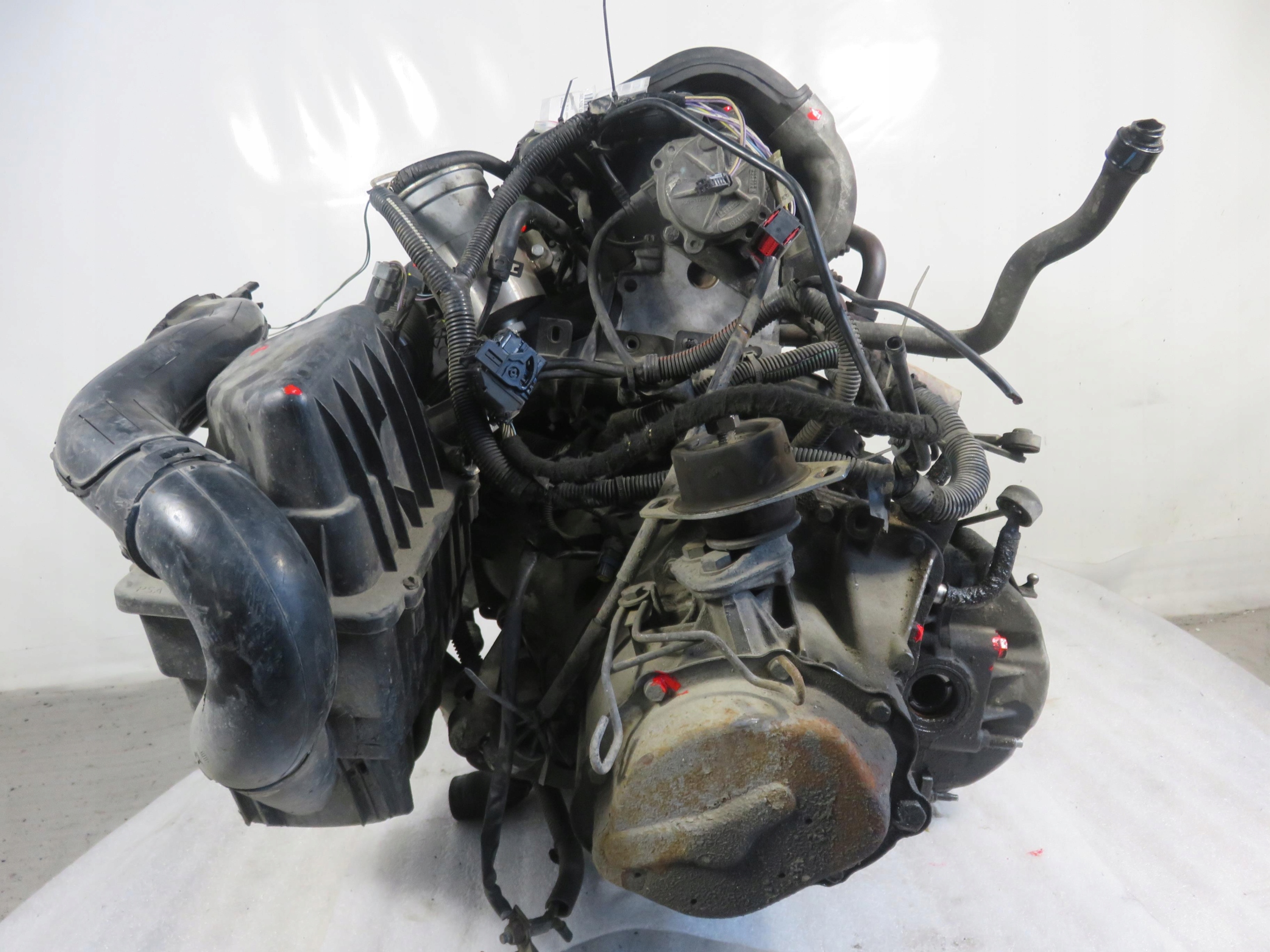 Moteur WJX (DW8B) - Image 3