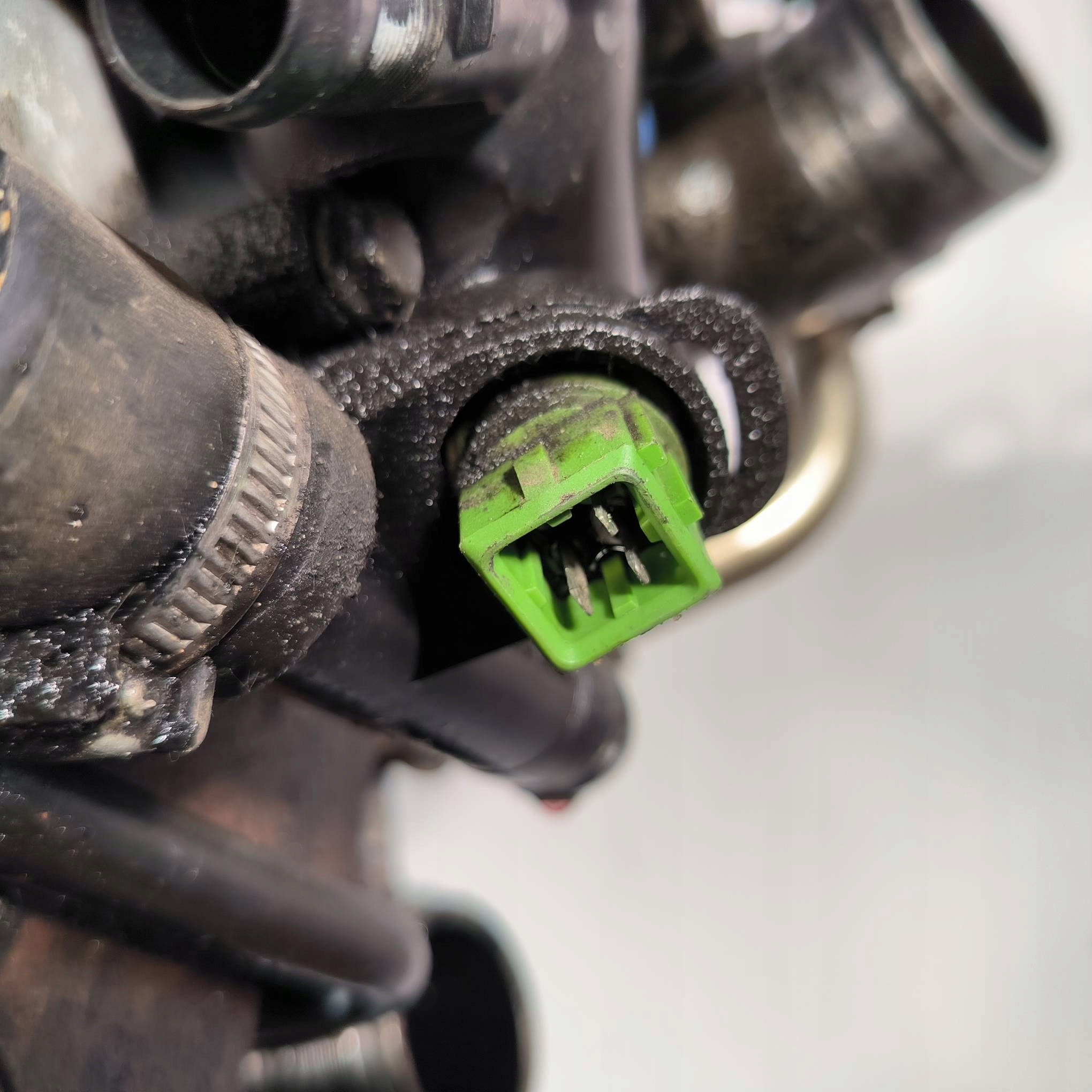 Moteur D 4192 T2 — vue 13