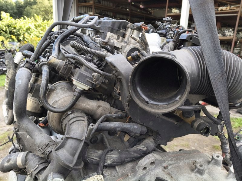 Moteur B 4204 T11 - Image 4