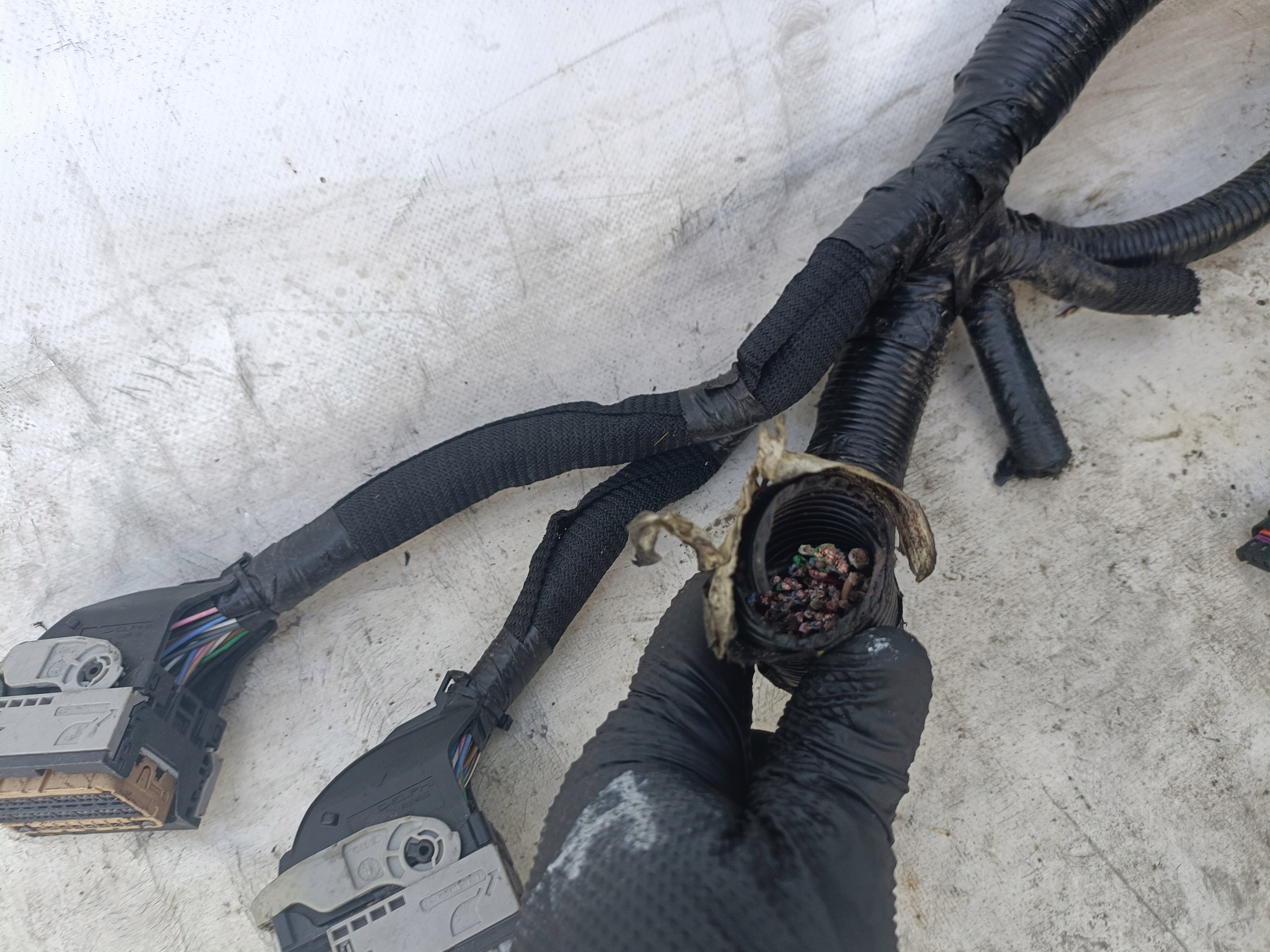 Moteur H5F601 - Image 10