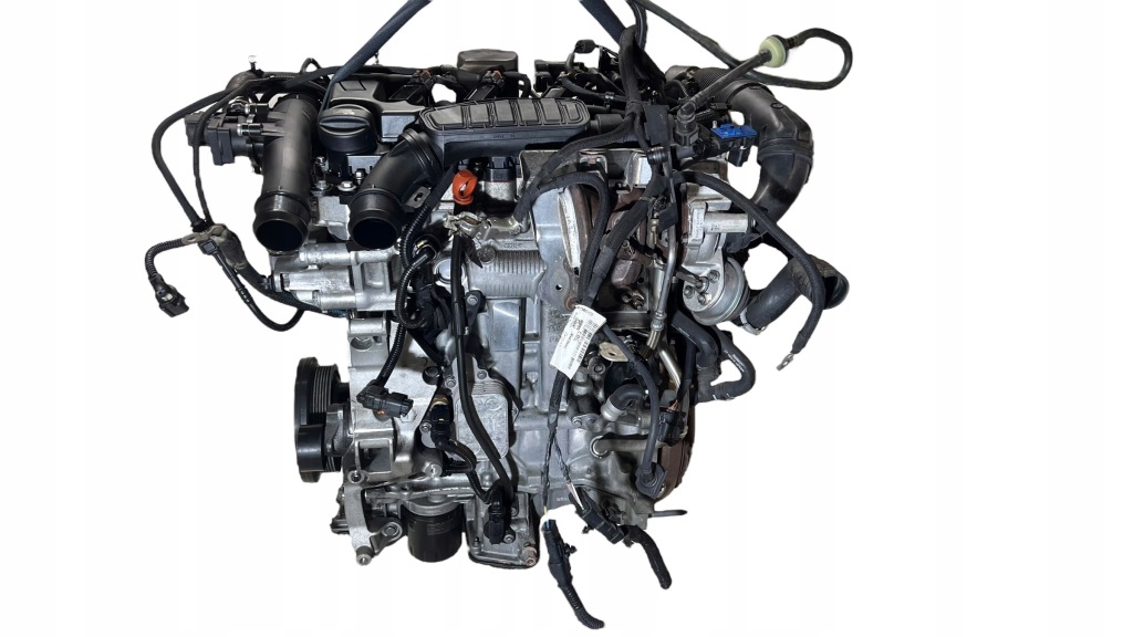 Moteur B 16 DTH - Image 3