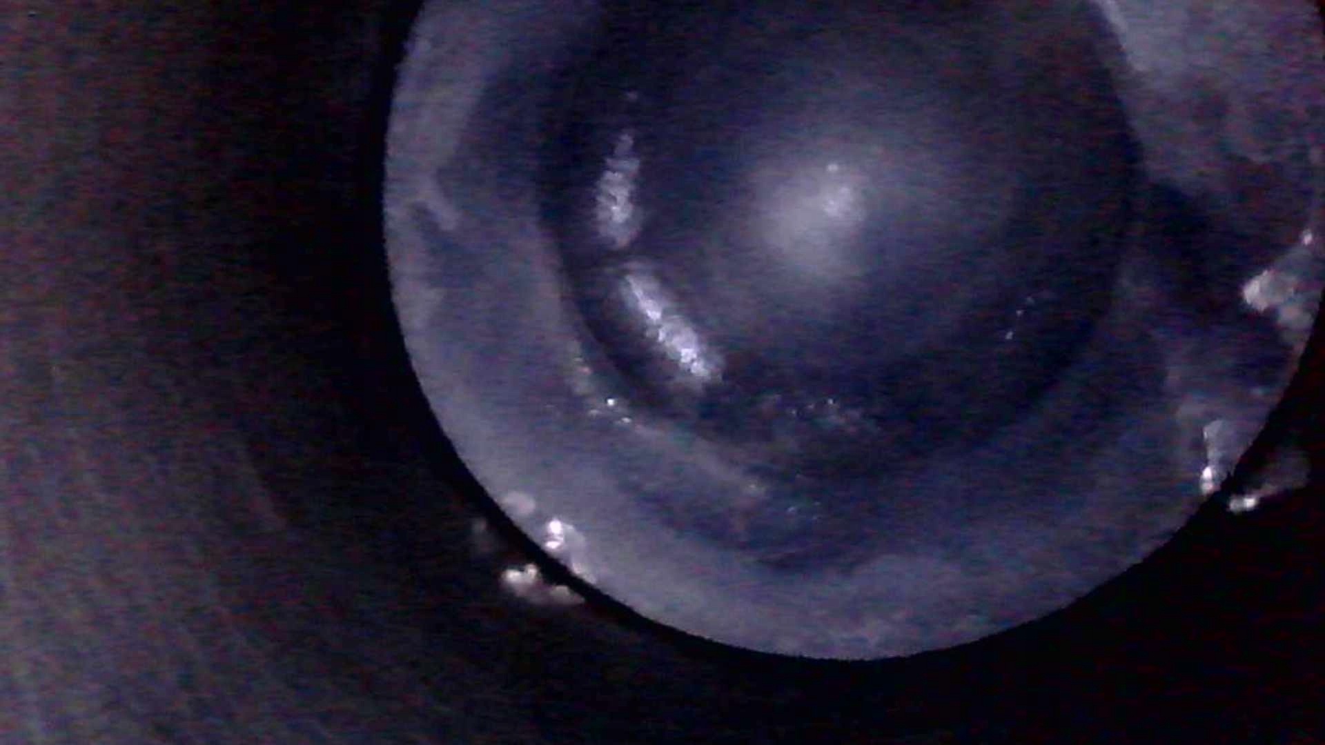 Moteur BHY (DV6FD) - Image 7