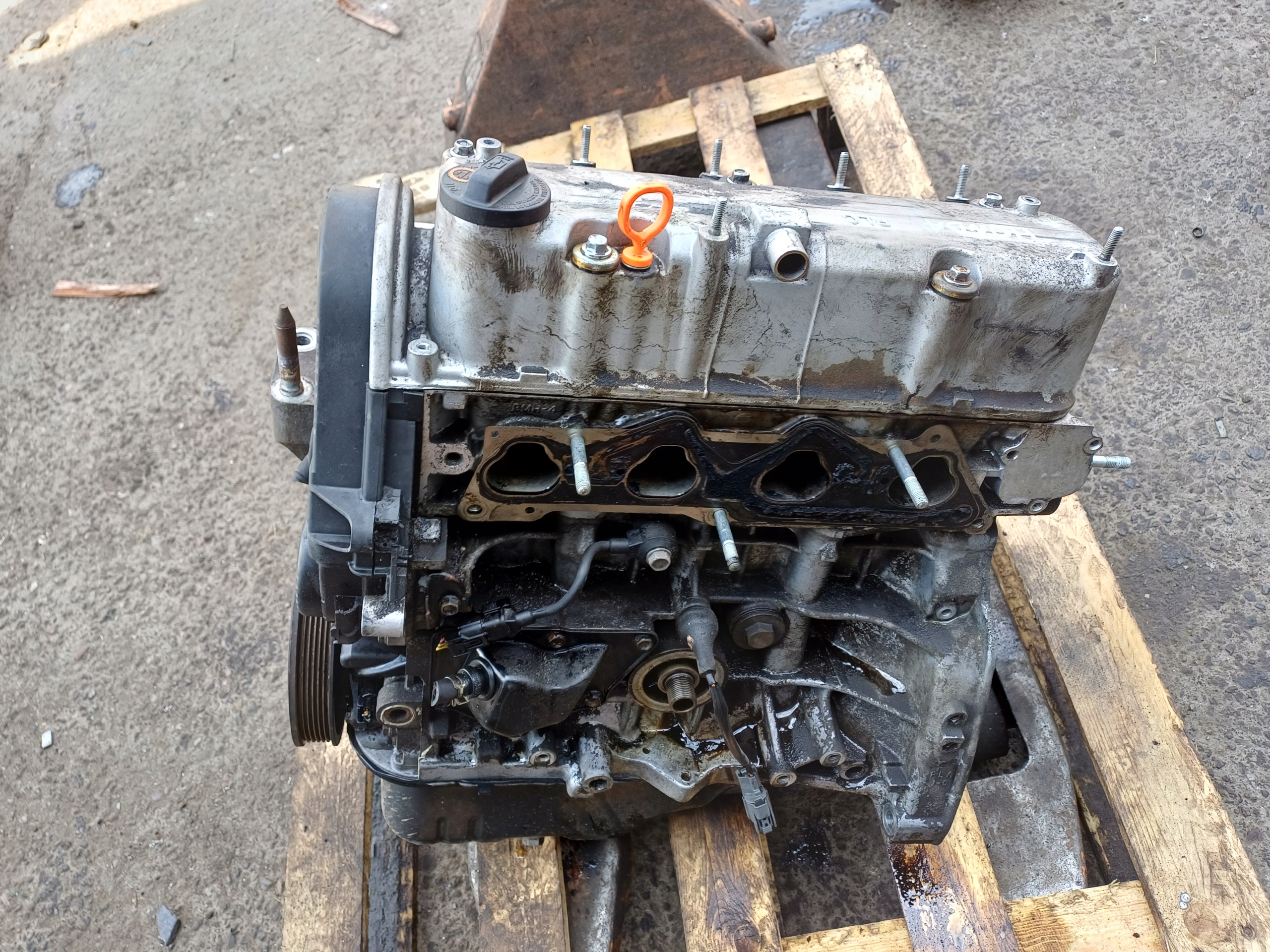 Moteur D14Z6 - Image 5