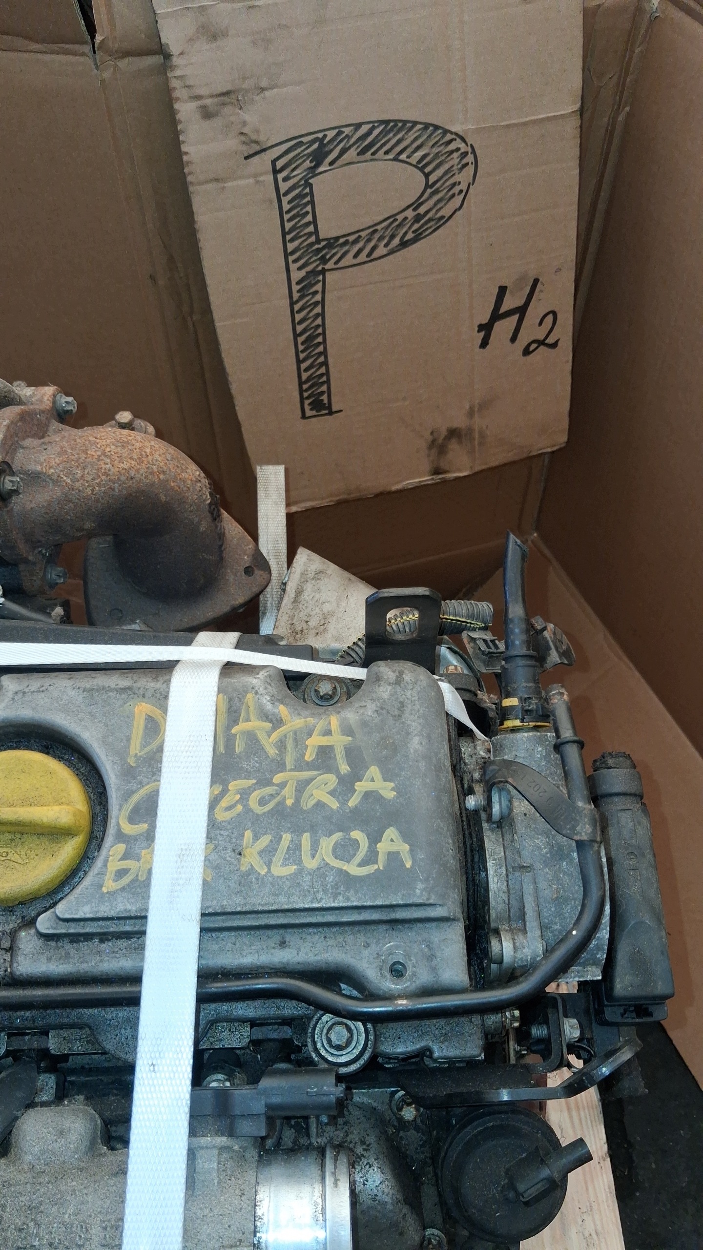 Moteur Y 22 DTR - Image 2