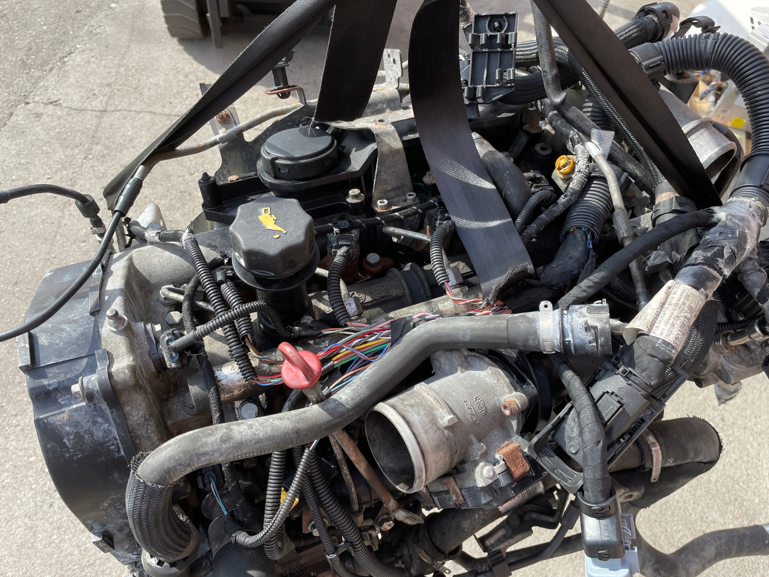 Moteur F1AGL4113 - Image 3