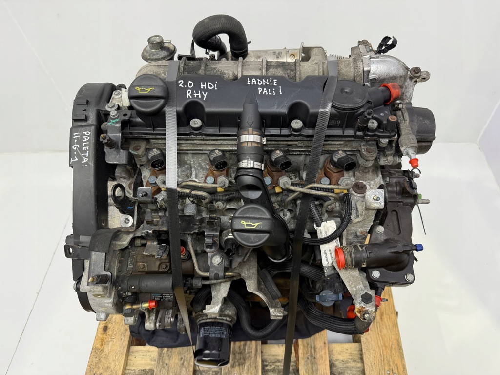 Moteur RHV (DW10TD) - Image 2