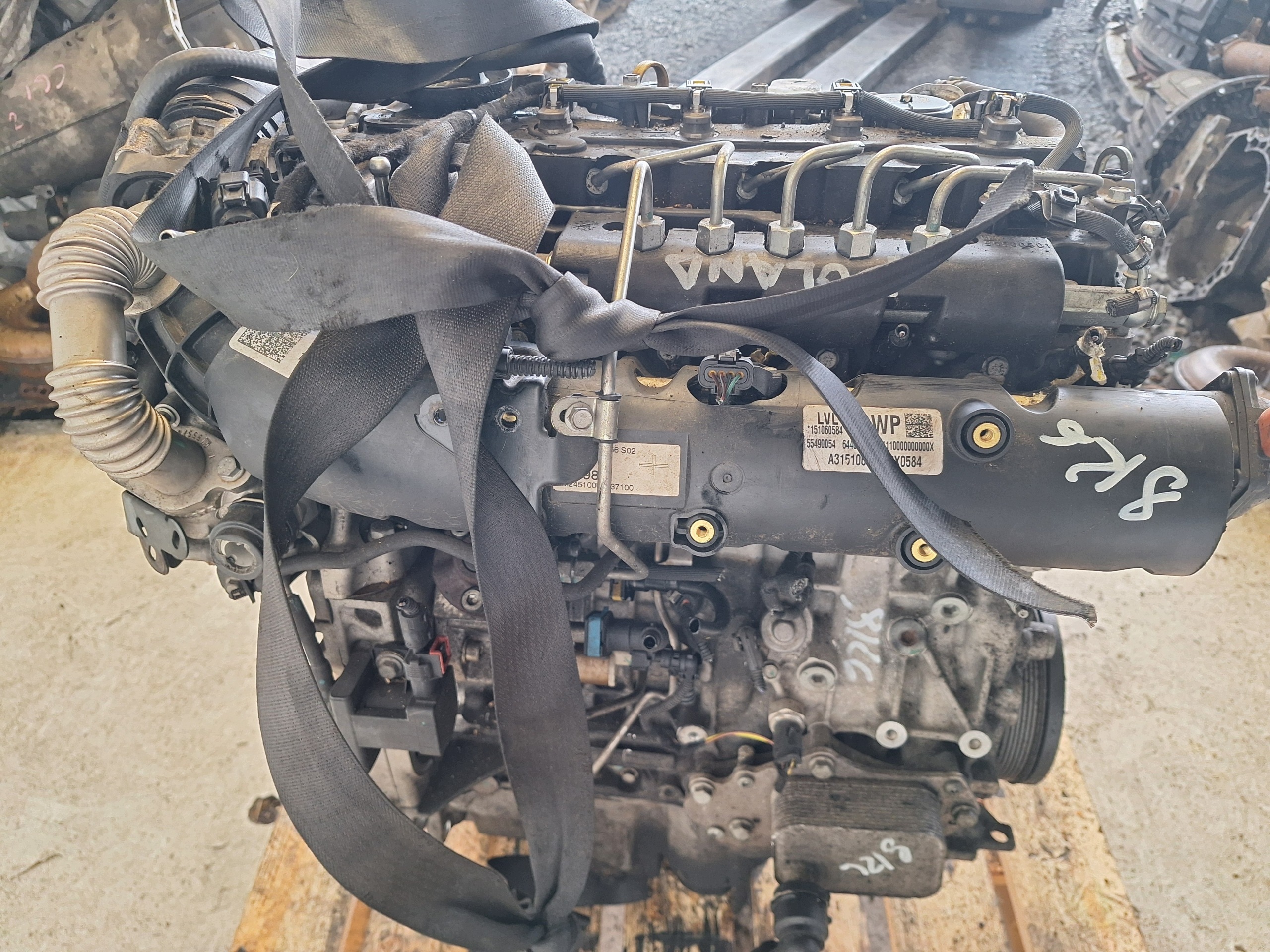 Moteur B 16 DTH - Image 9